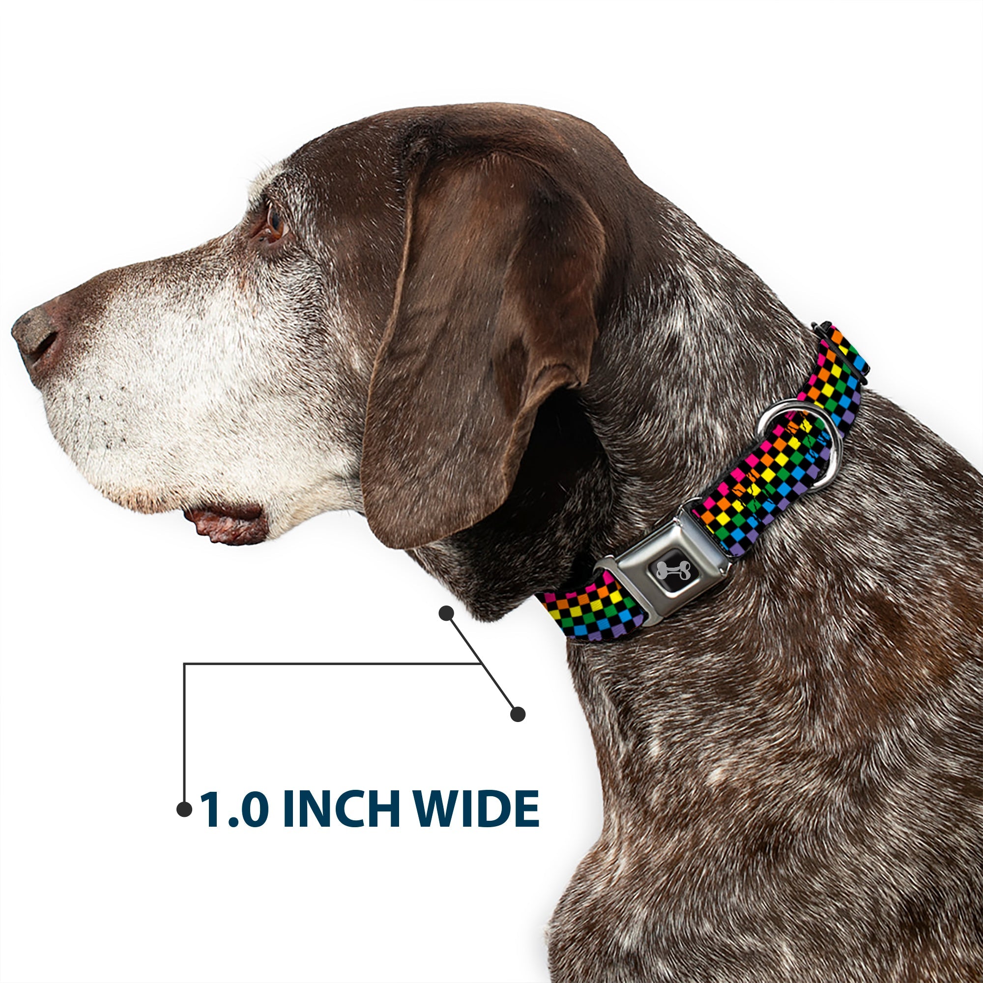 Dog Bone Seatbelt Buckle Collar - Checker Black/Neon Rainbow