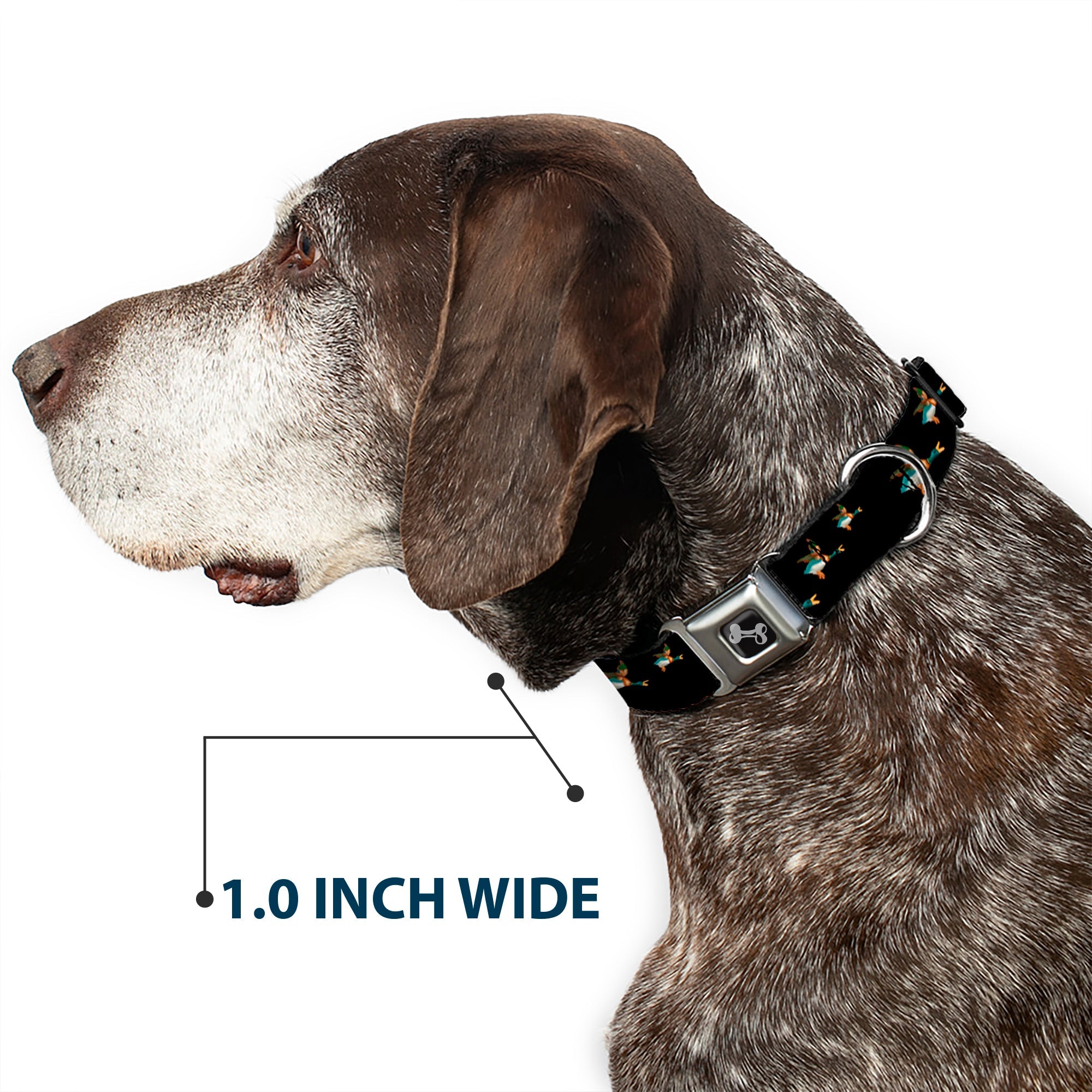 Dog Bone Seatbelt Buckle Collar - Flying Mallards Black