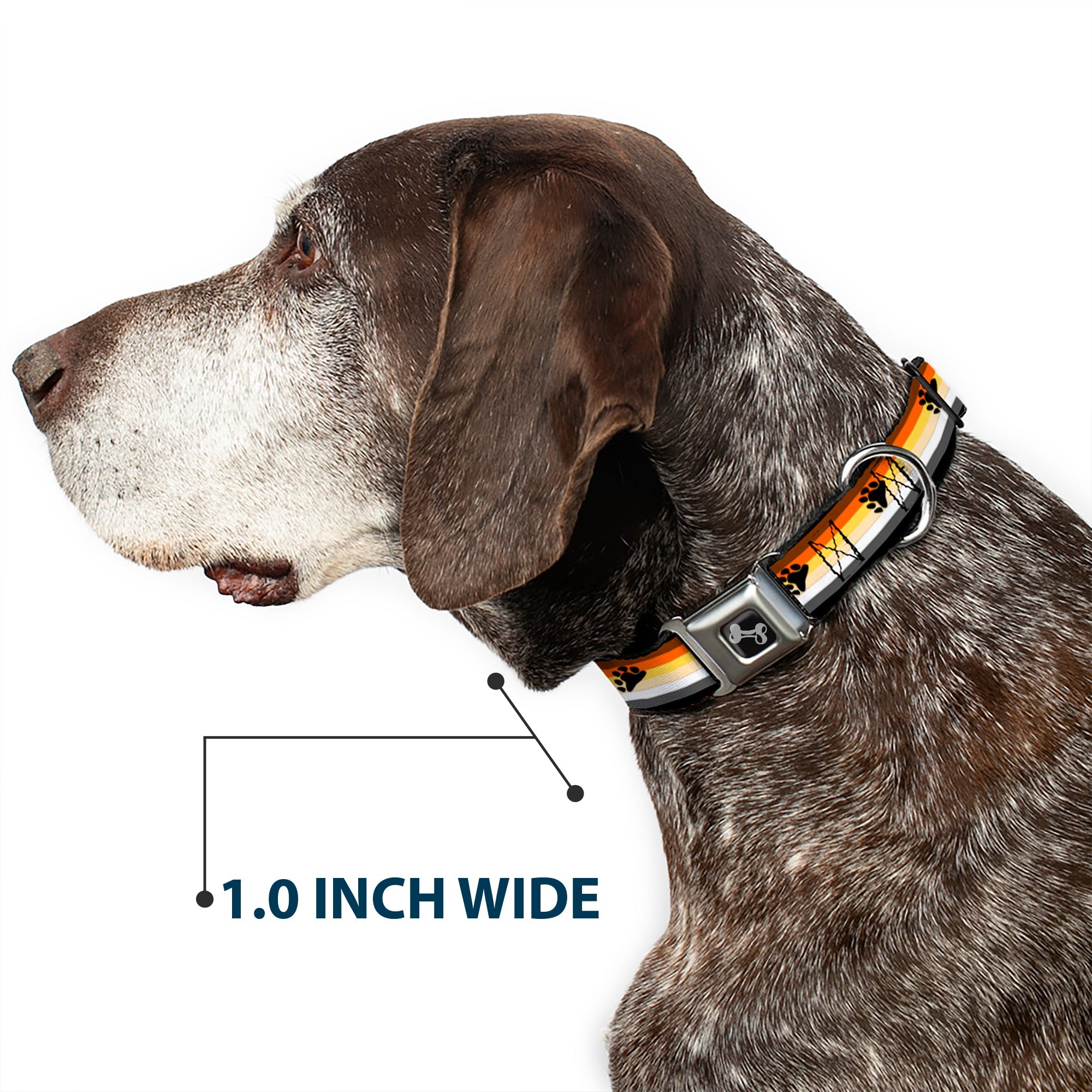 Dog Bone Black/Silver Seatbelt Buckle Collar - Flag Bear Pride2 Black/Brown/Orange/Yellow/Tan/White/Gray/Black