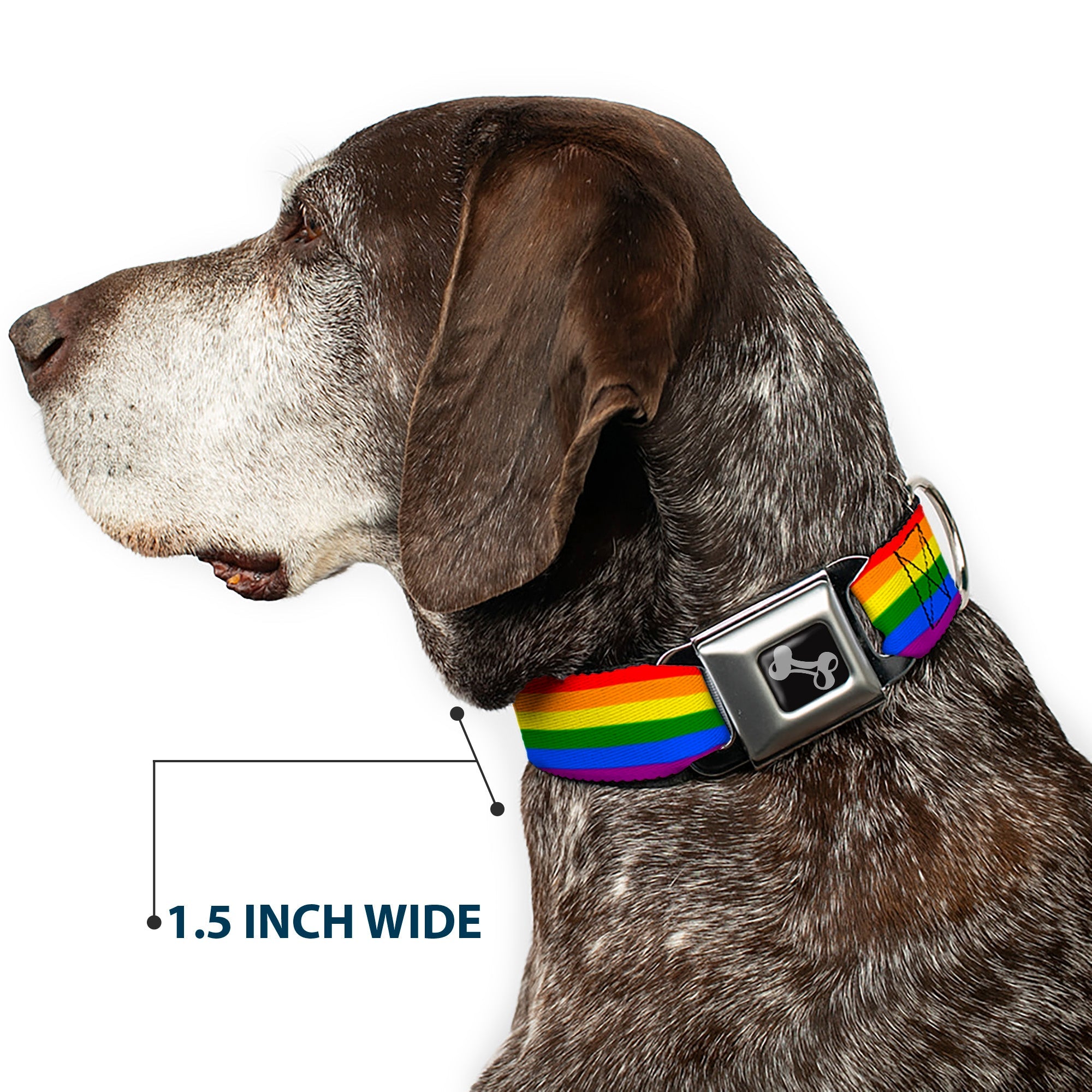 Dog Bone Seatbelt Buckle Collar - Flag Pride Rainbow