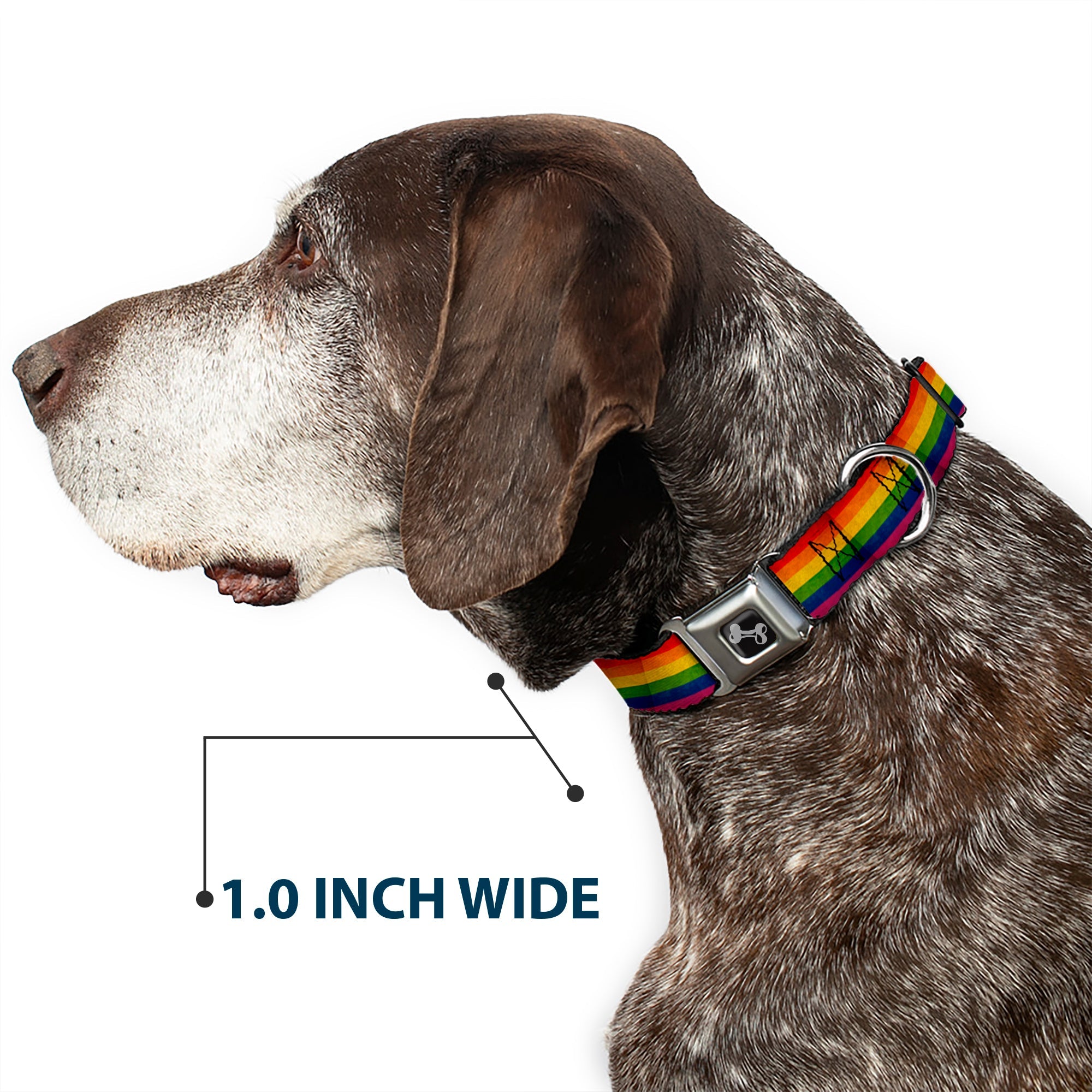 Dog Bone Seatbelt Buckle Collar - Flag Pride Distressed Rainbow