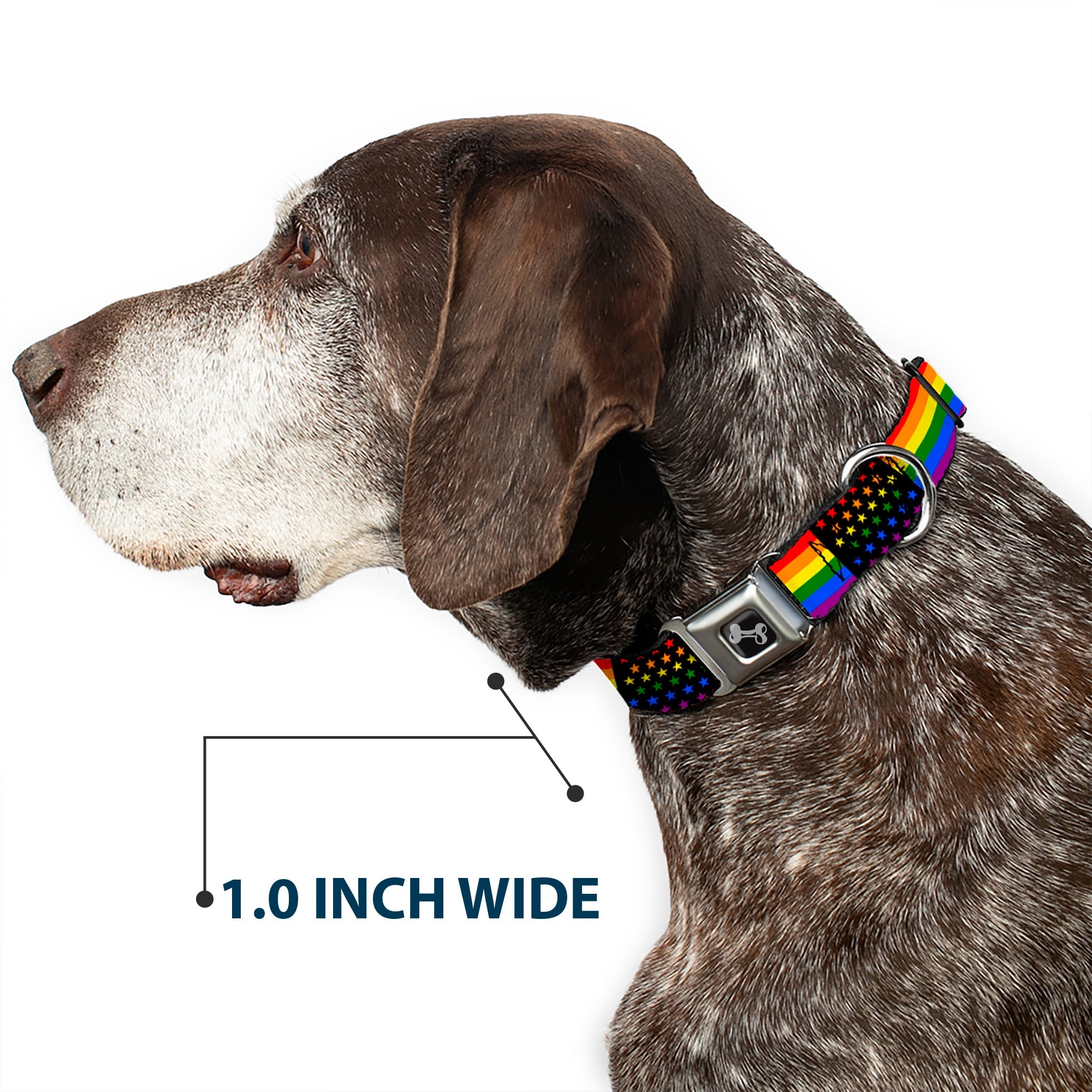 Dog Bone Seatbelt Buckle Collar - Flag American Pride Rainbow/Black