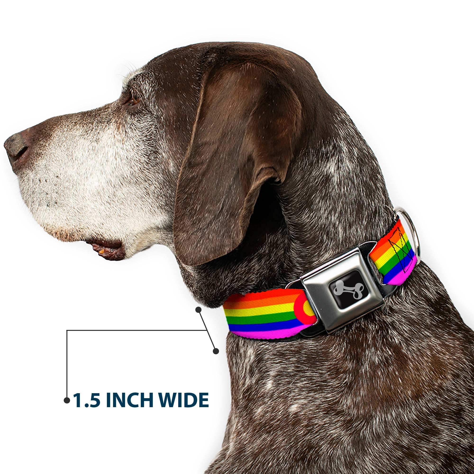 Dog Bone Seatbelt Buckle Collar - Colorado Flags2 Pride