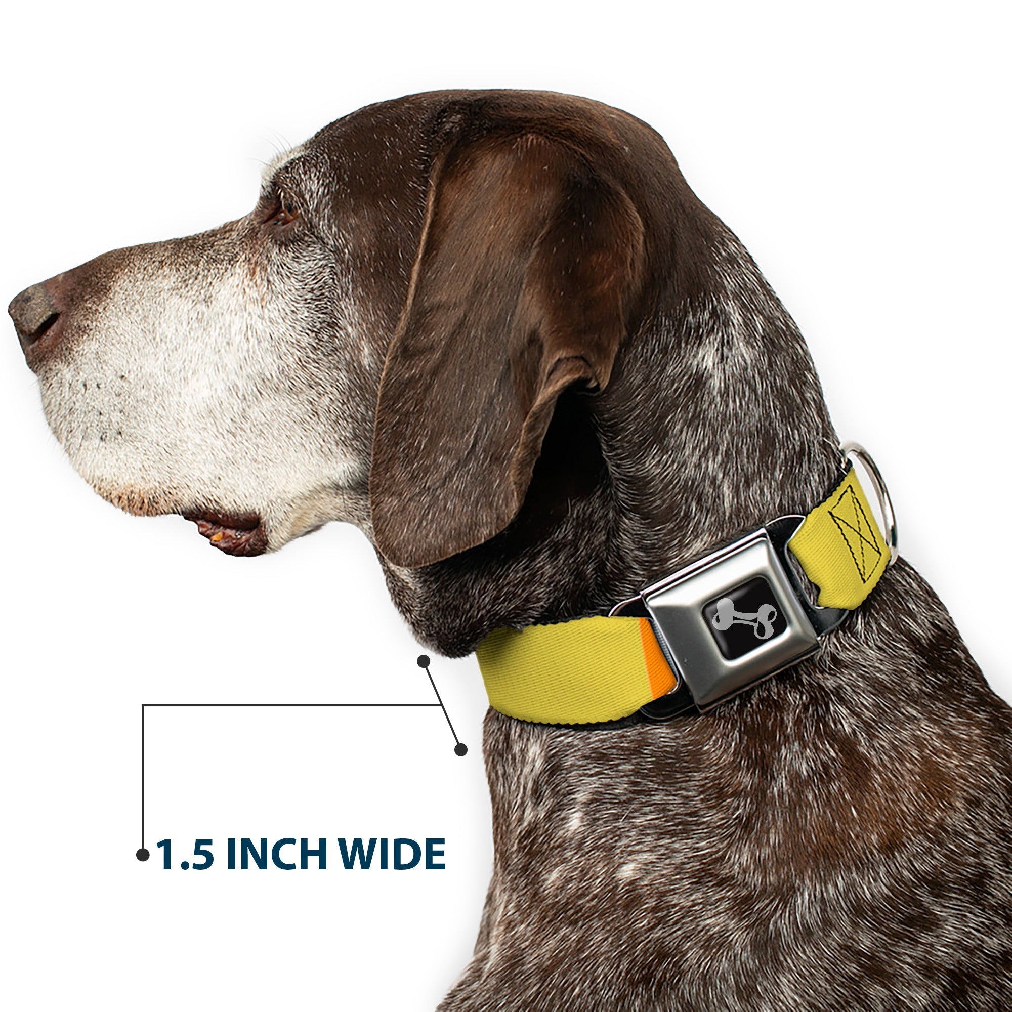 Dog Bone Black/Silver Seatbelt Buckle Collar - Summer Essentials Color Block 1