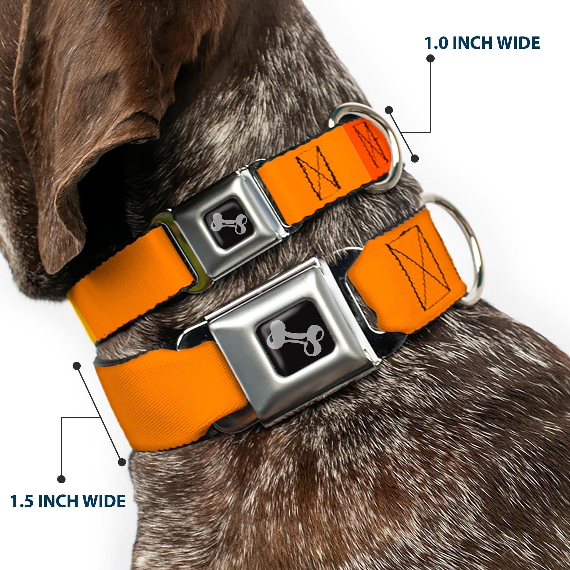 Dog Bone Black/Silver Seatbelt Buckle Collar - Summer Essentials Color Block 2
