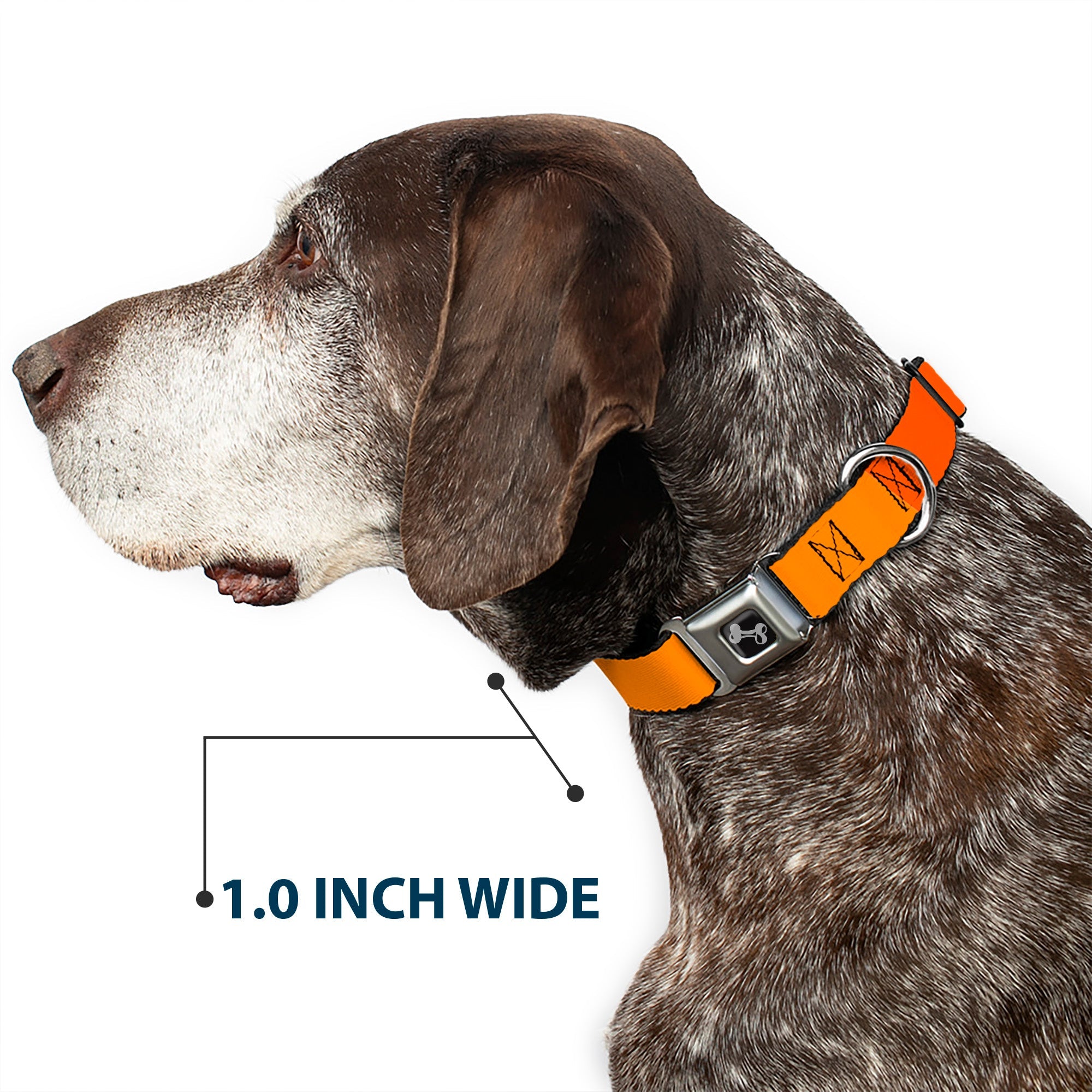 Dog Bone Black/Silver Seatbelt Buckle Collar - Summer Essentials Color Block 2