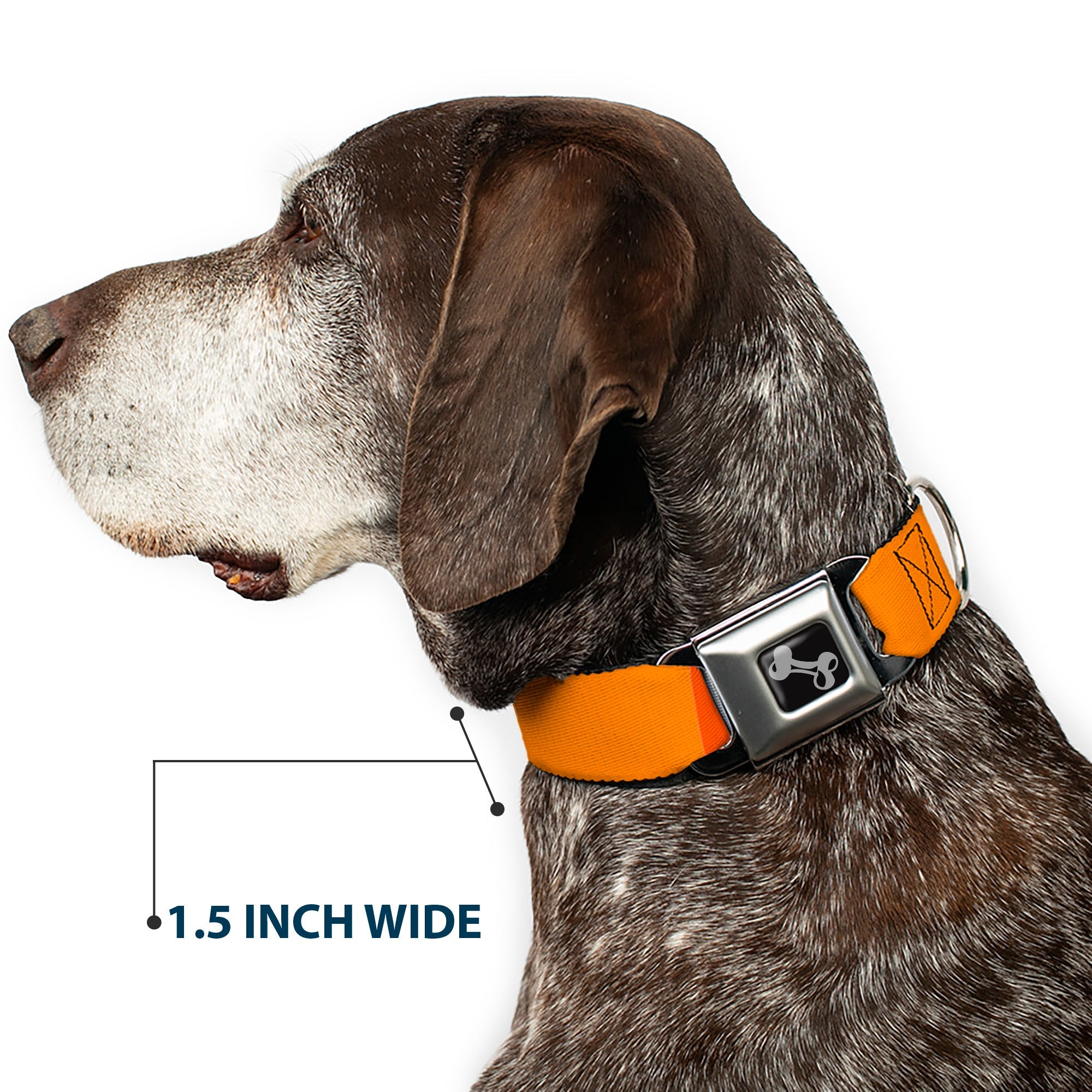 Dog Bone Black/Silver Seatbelt Buckle Collar - Summer Essentials Color Block 2