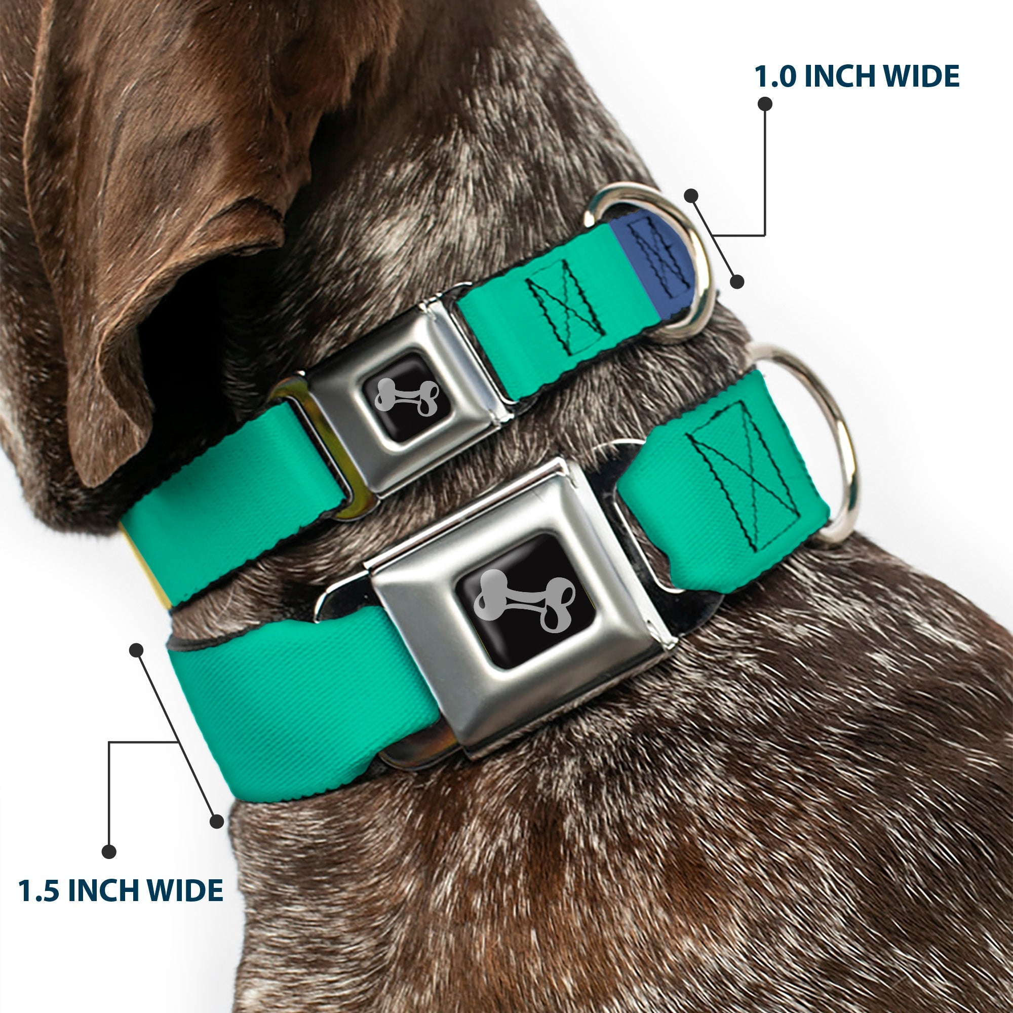 Dog Bone Black/Silver Seatbelt Buckle Collar - Summer Essentials Color Block 3
