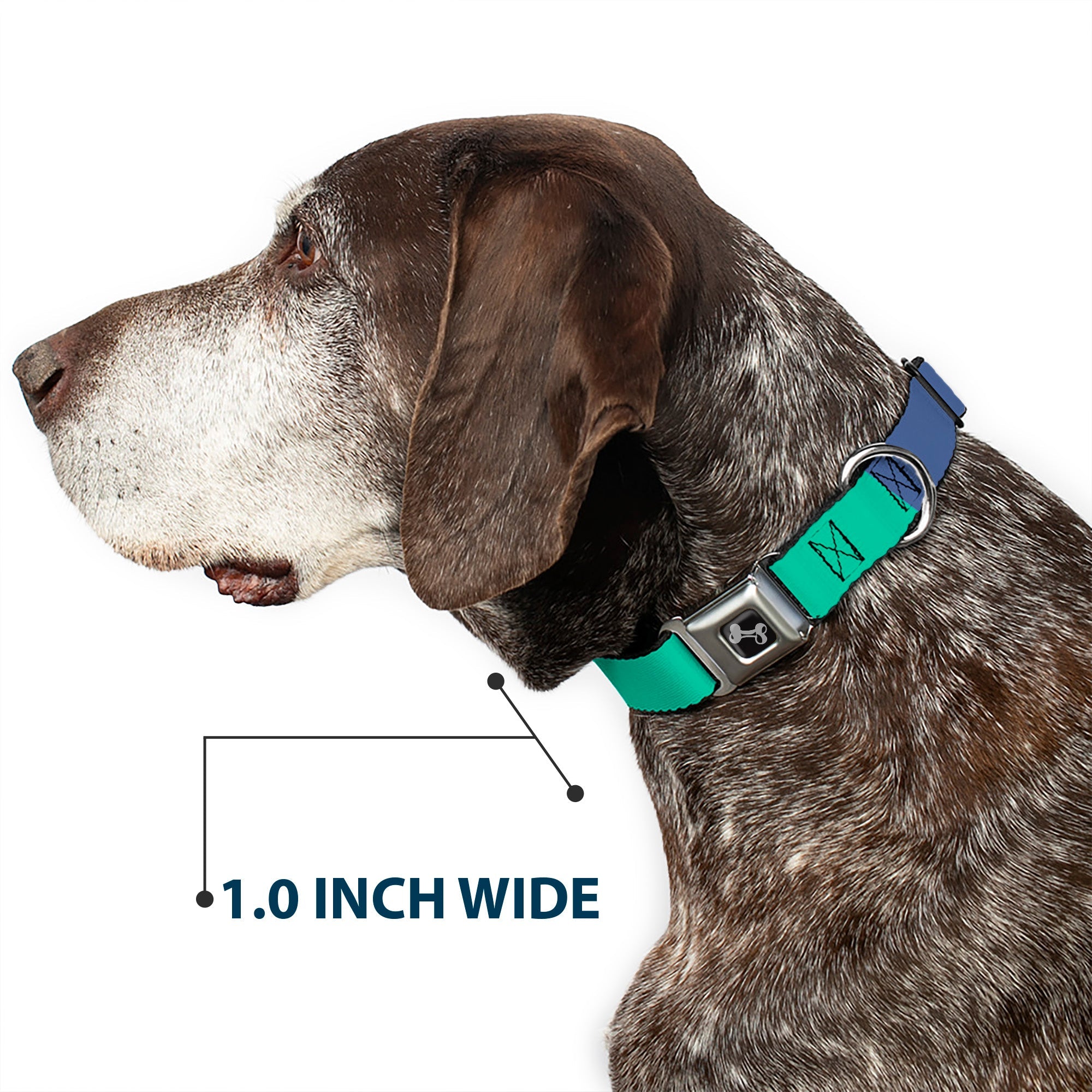 Dog Bone Black/Silver Seatbelt Buckle Collar - Summer Essentials Color Block 3
