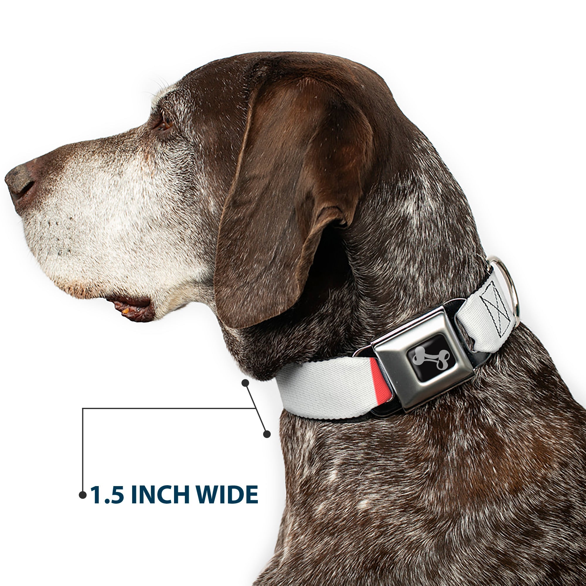 Dog Bone Black/Silver Seatbelt Buckle Collar - Summer Essentials Color Block 4