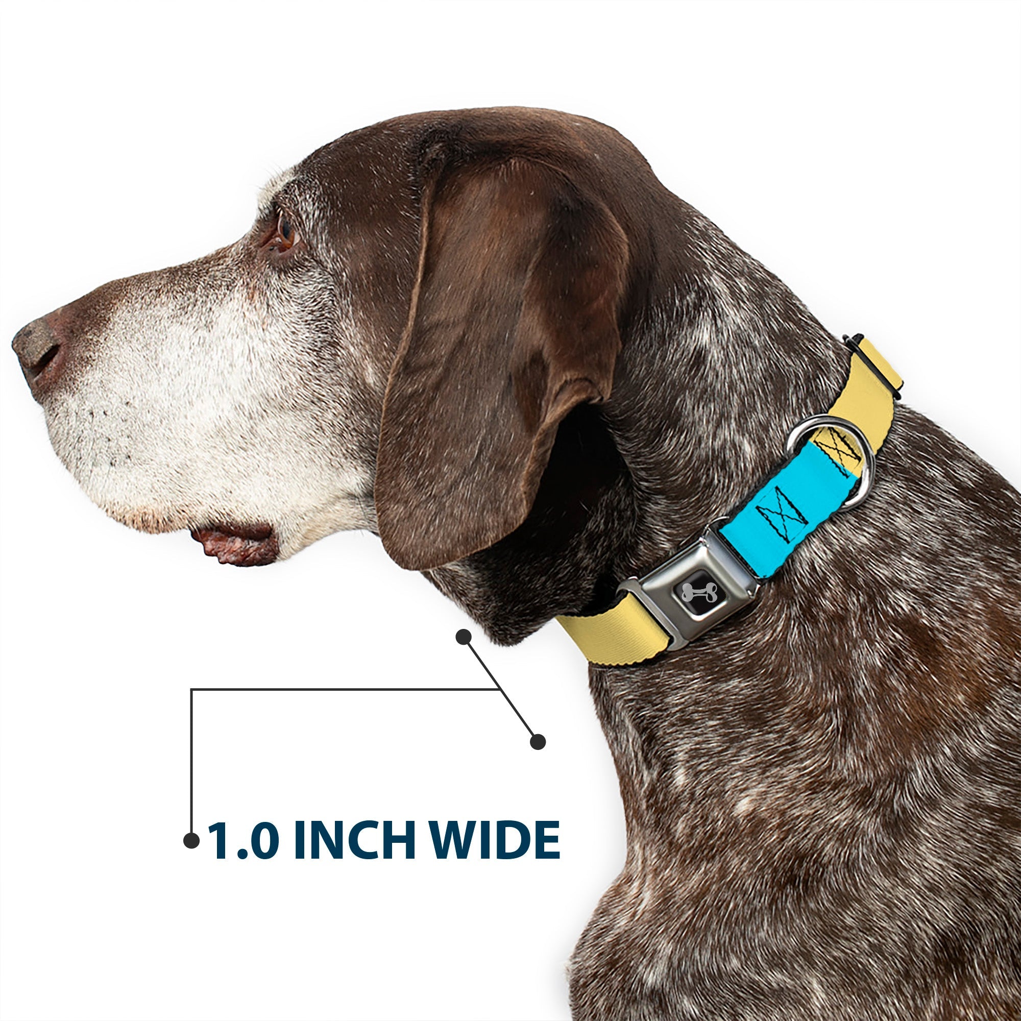 Dog Bone Black/Silver Seatbelt Buckle Collar - Summer Essentials Color Block 6