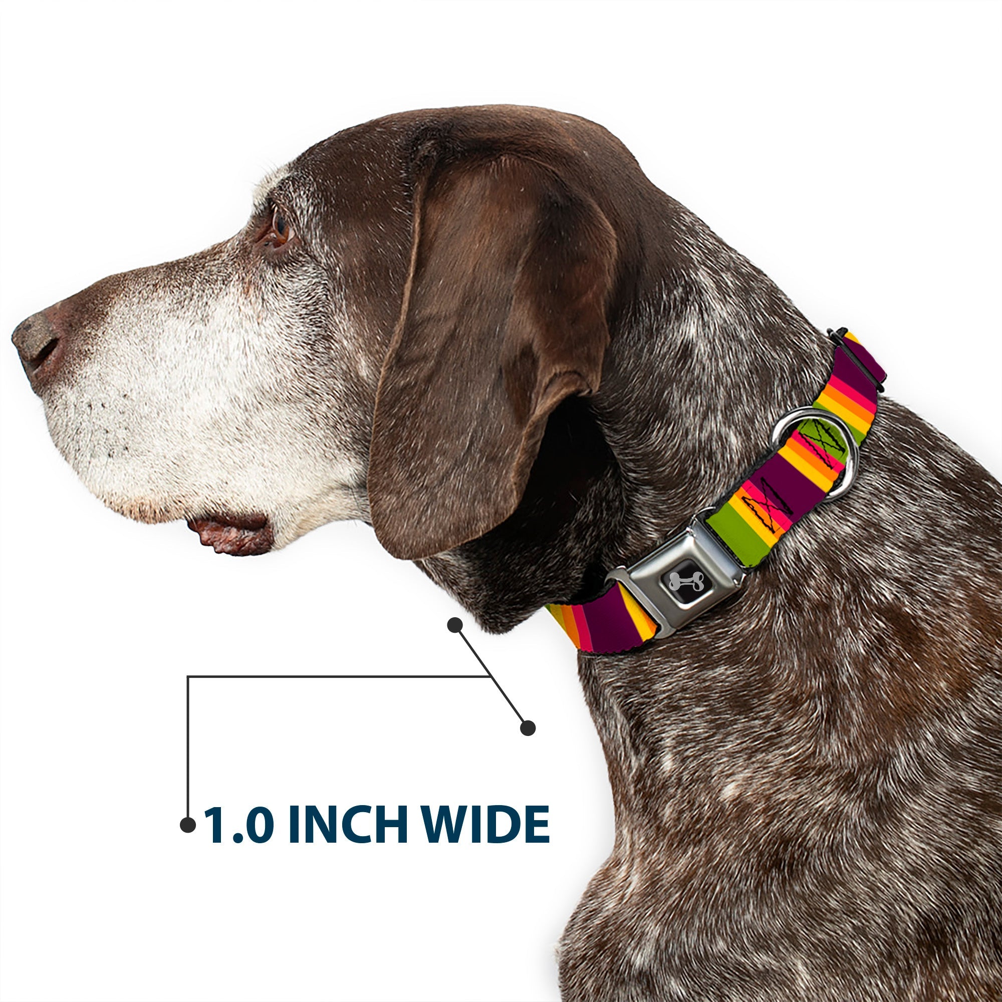 Dog Bone Black/Silver Seatbelt Buckle Collar - Summer Essentials Color Block 7