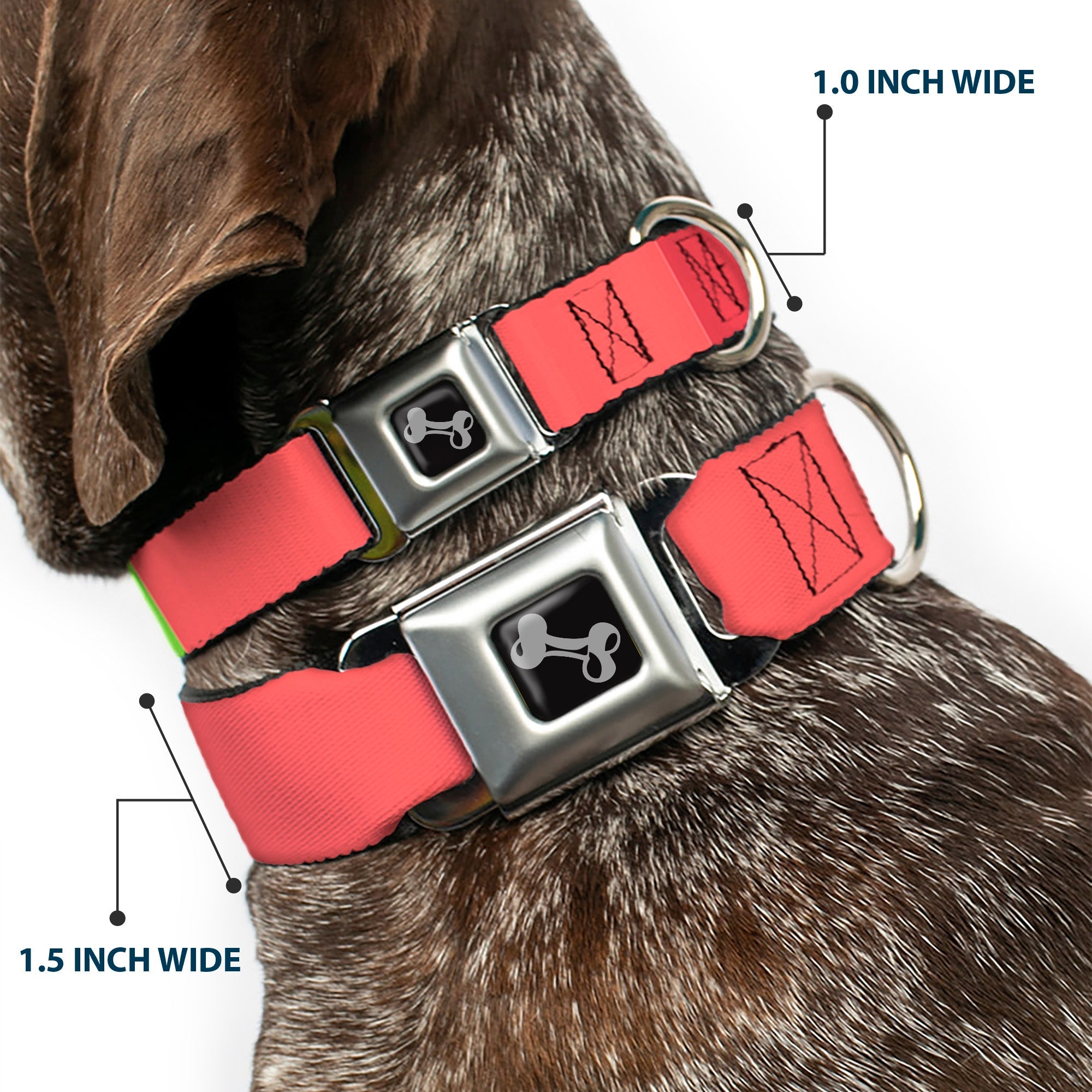 Dog Bone Black/Silver Seatbelt Buckle Collar - Summer Essentials Color Block 8