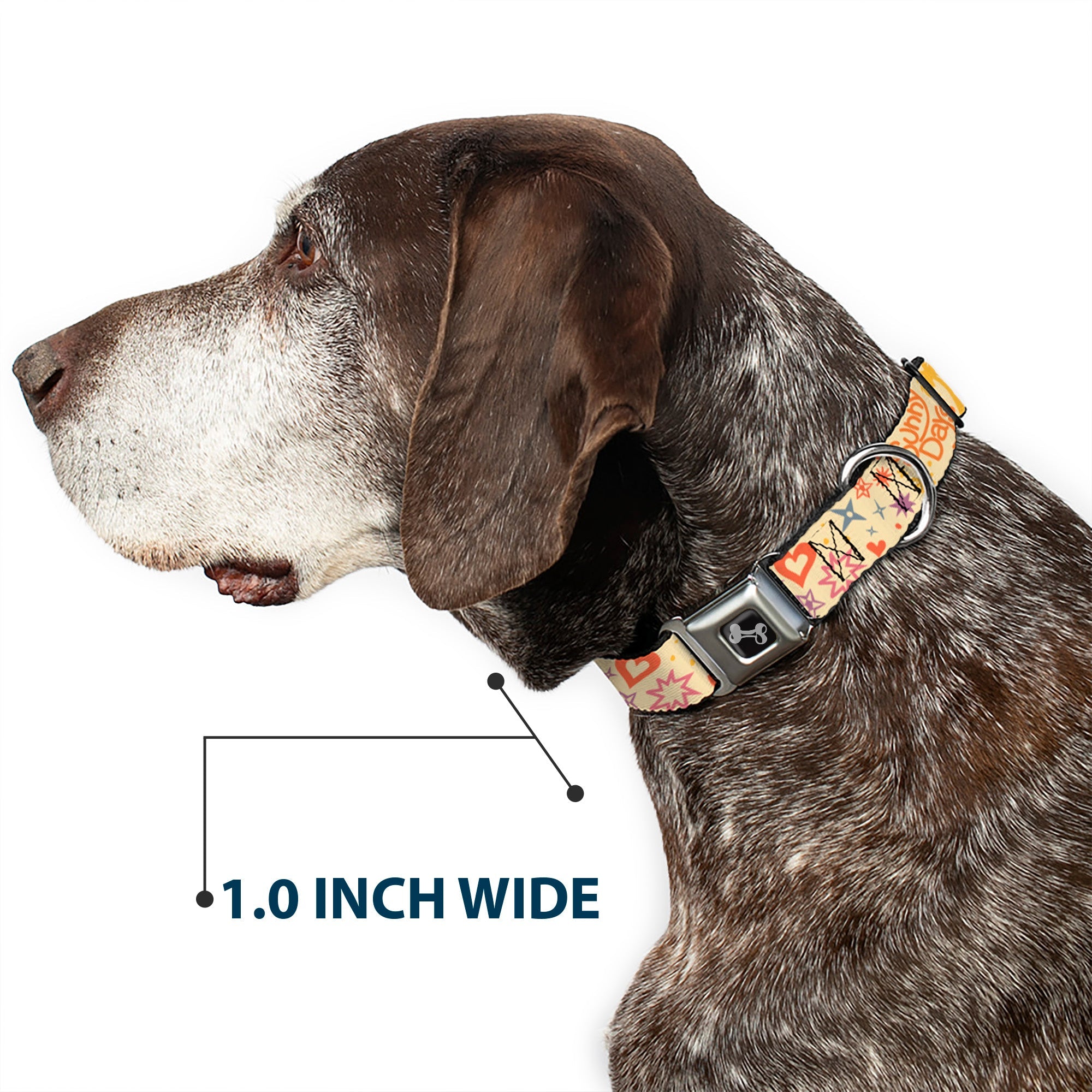 Dog Bone Black/Silver Seatbelt Buckle Collar - Summer Harmony Collage Beige/Multi Color