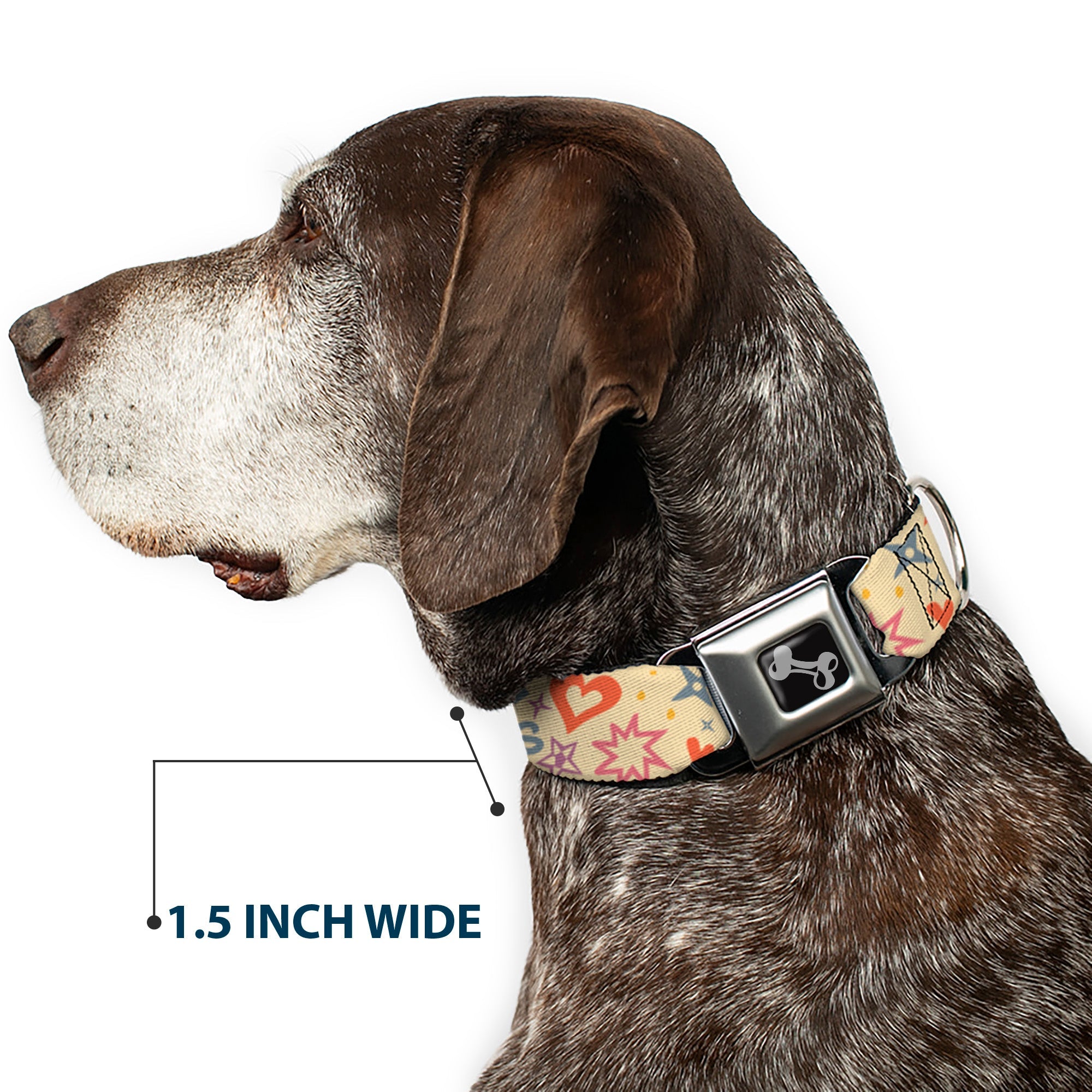 Dog Bone Black/Silver Seatbelt Buckle Collar - Summer Harmony Collage Beige/Multi Color