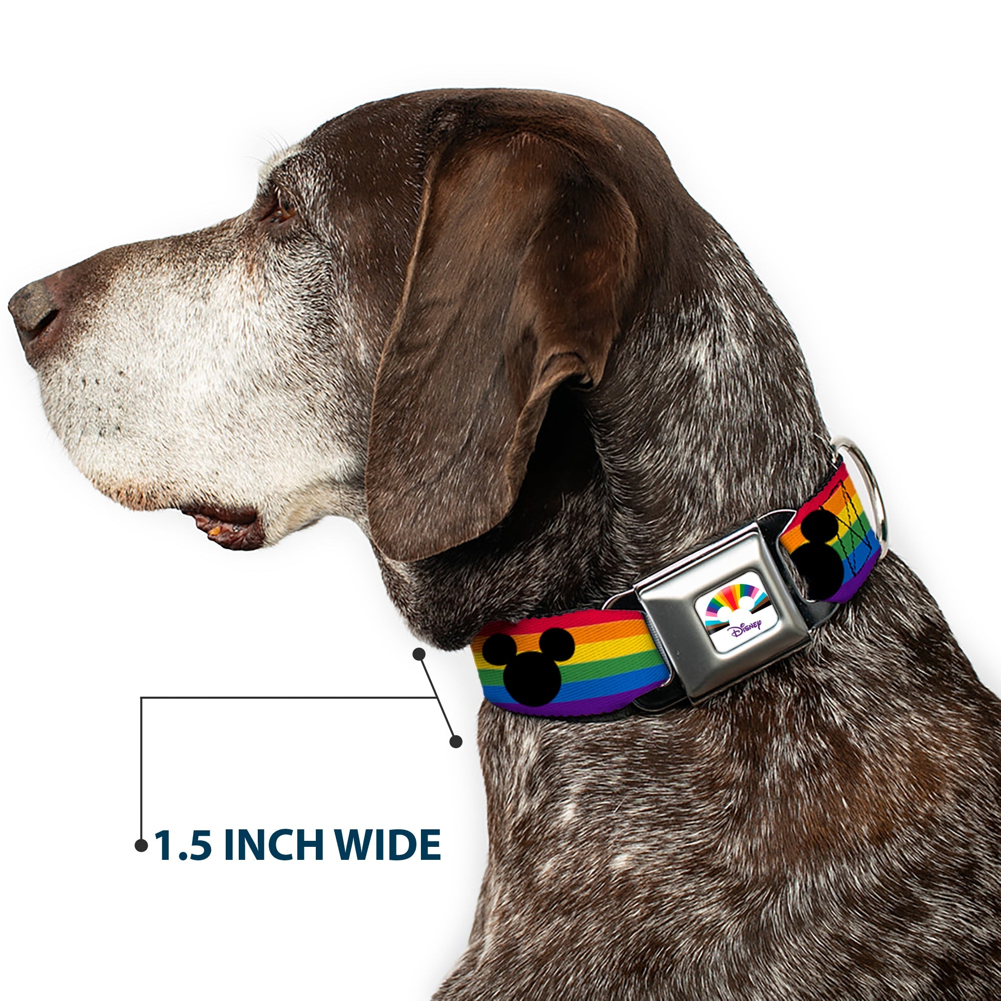 DISNEY Mickey Mouse Pride Ears Icon Full Color White/Multi Color Seatbelt Buckle Collar - Mickey Mouse Ears Icon Rainbow Pride Flag