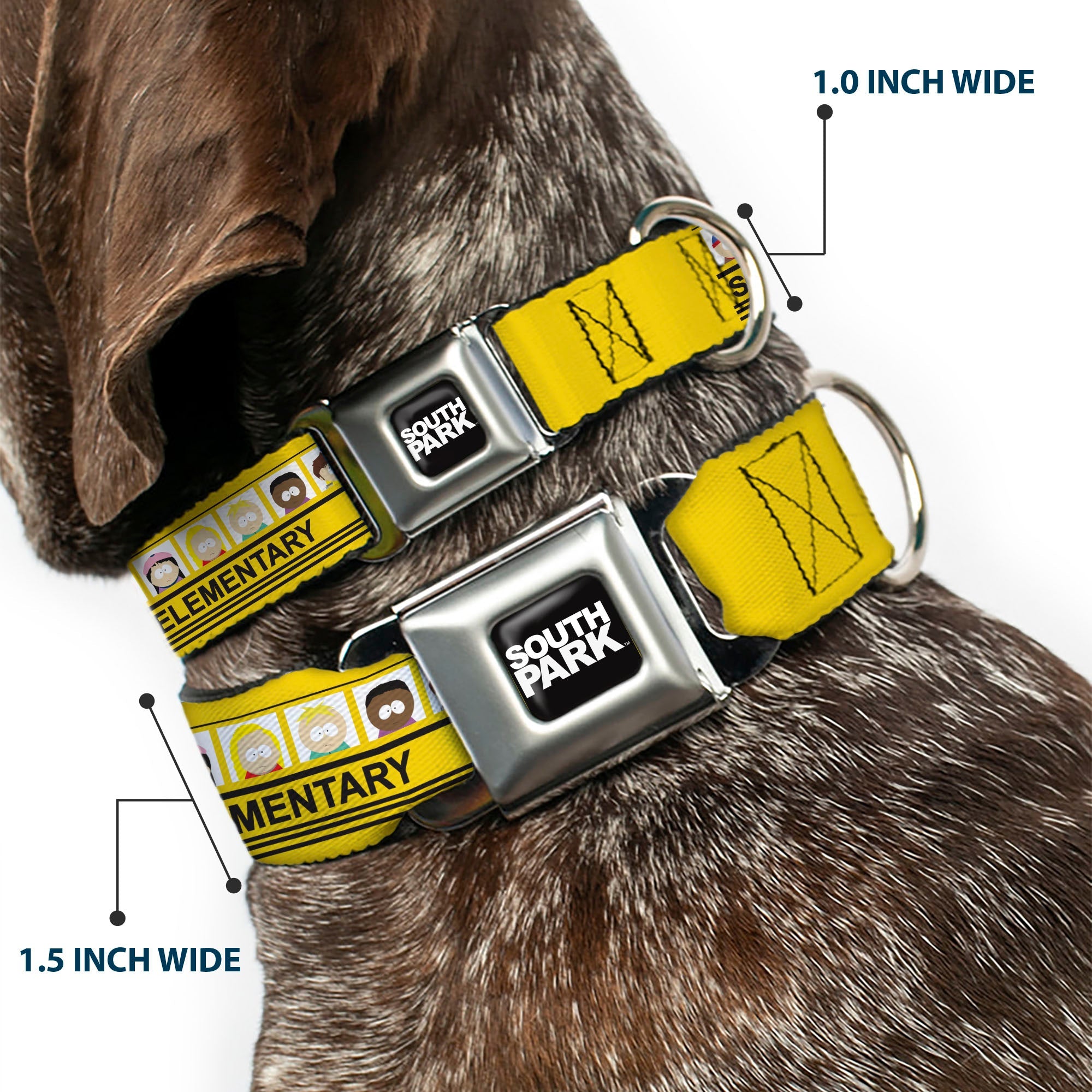 SOUTH PARK Title Logo Full Color Black/White Seatbelt Buckle Collar - SOUTH PARK ELEMENTARY School Bus Characters Pose Yellow