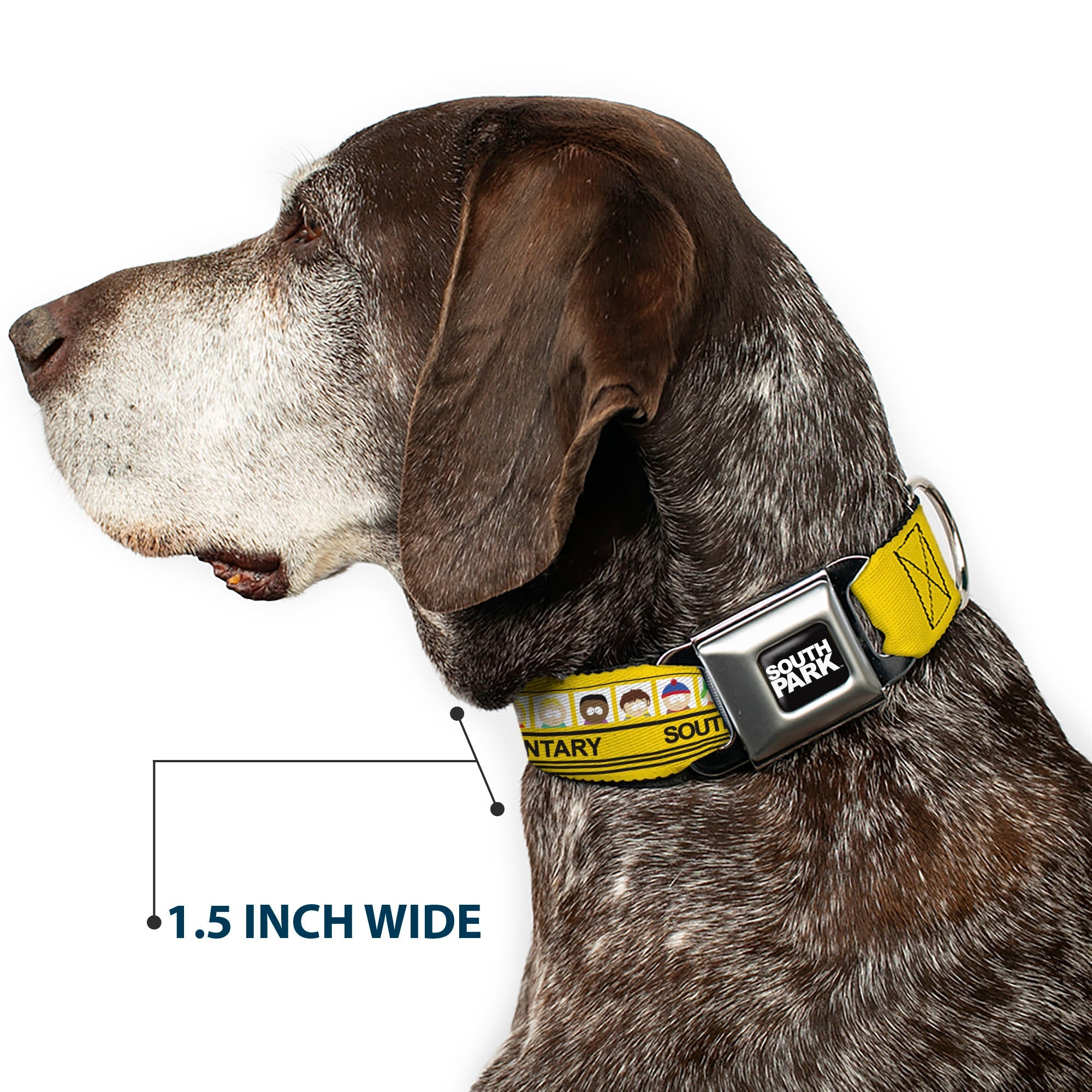 SOUTH PARK Title Logo Full Color Black/White Seatbelt Buckle Collar - SOUTH PARK ELEMENTARY School Bus Characters Pose Yellow