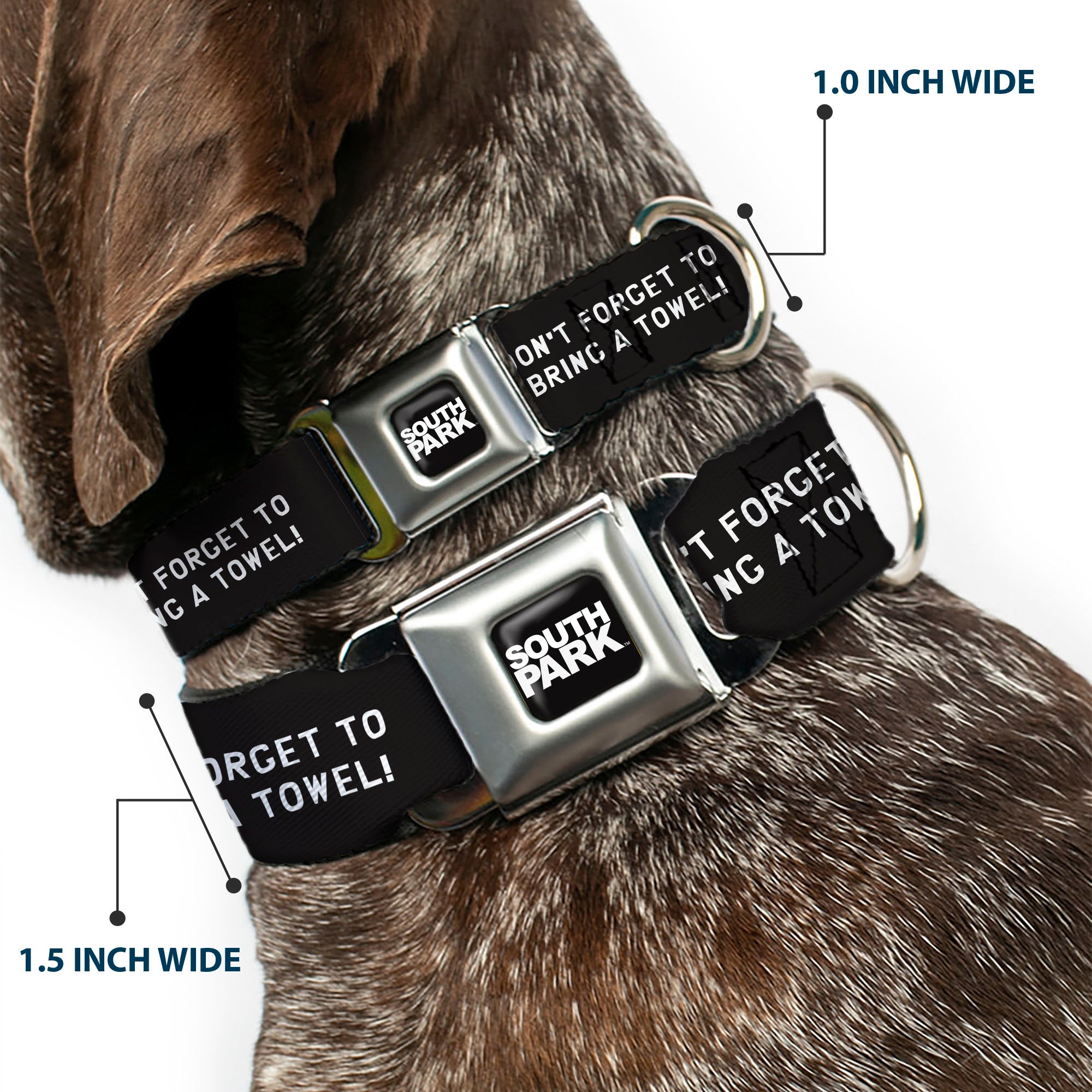 SOUTH PARK Title Logo Full Color Black/White Seatbelt Buckle Collar - South Park Towlie DON’T FORGET TO BRING A TOWEL Pose Black