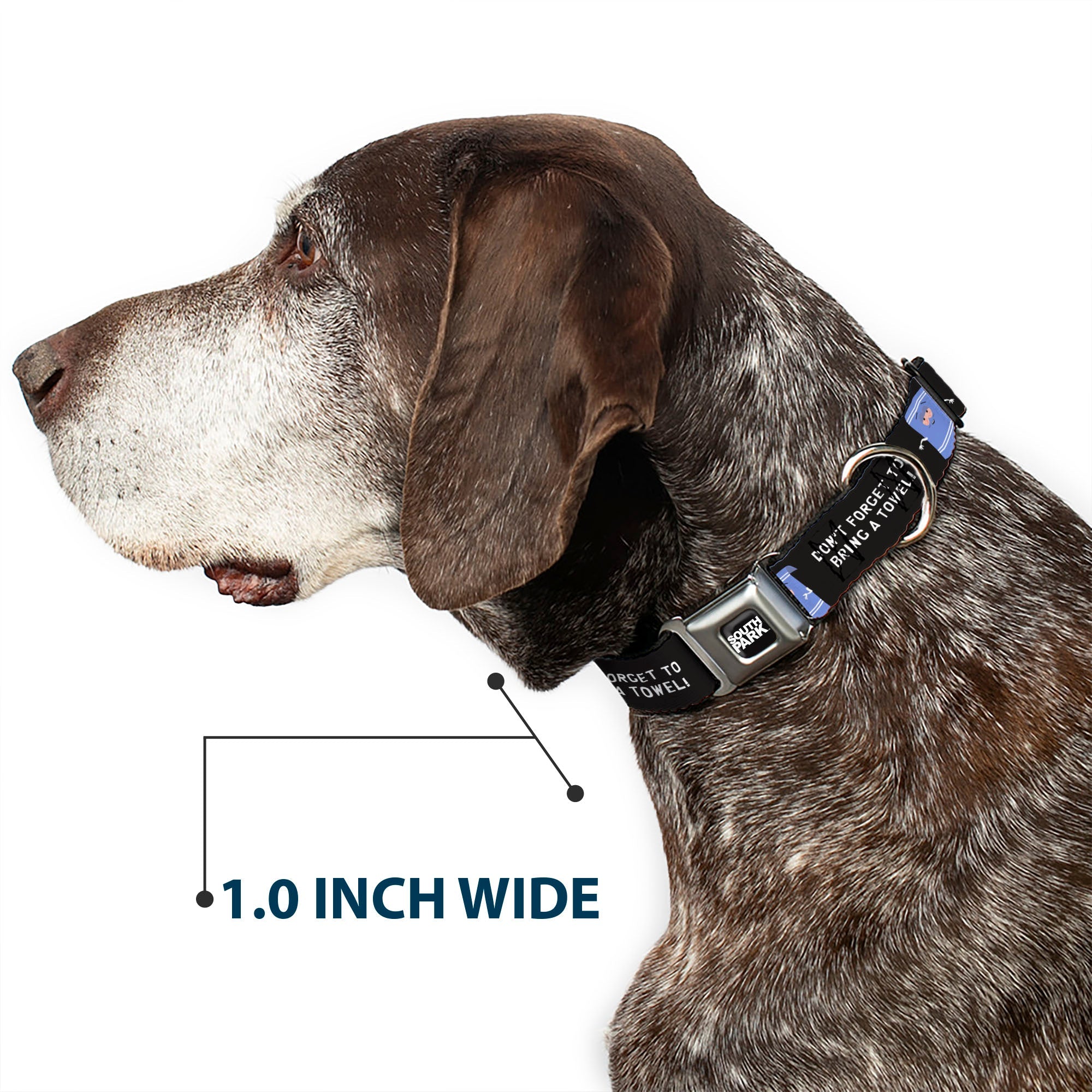 SOUTH PARK Title Logo Full Color Black/White Seatbelt Buckle Collar - South Park Towlie DON’T FORGET TO BRING A TOWEL Pose Black