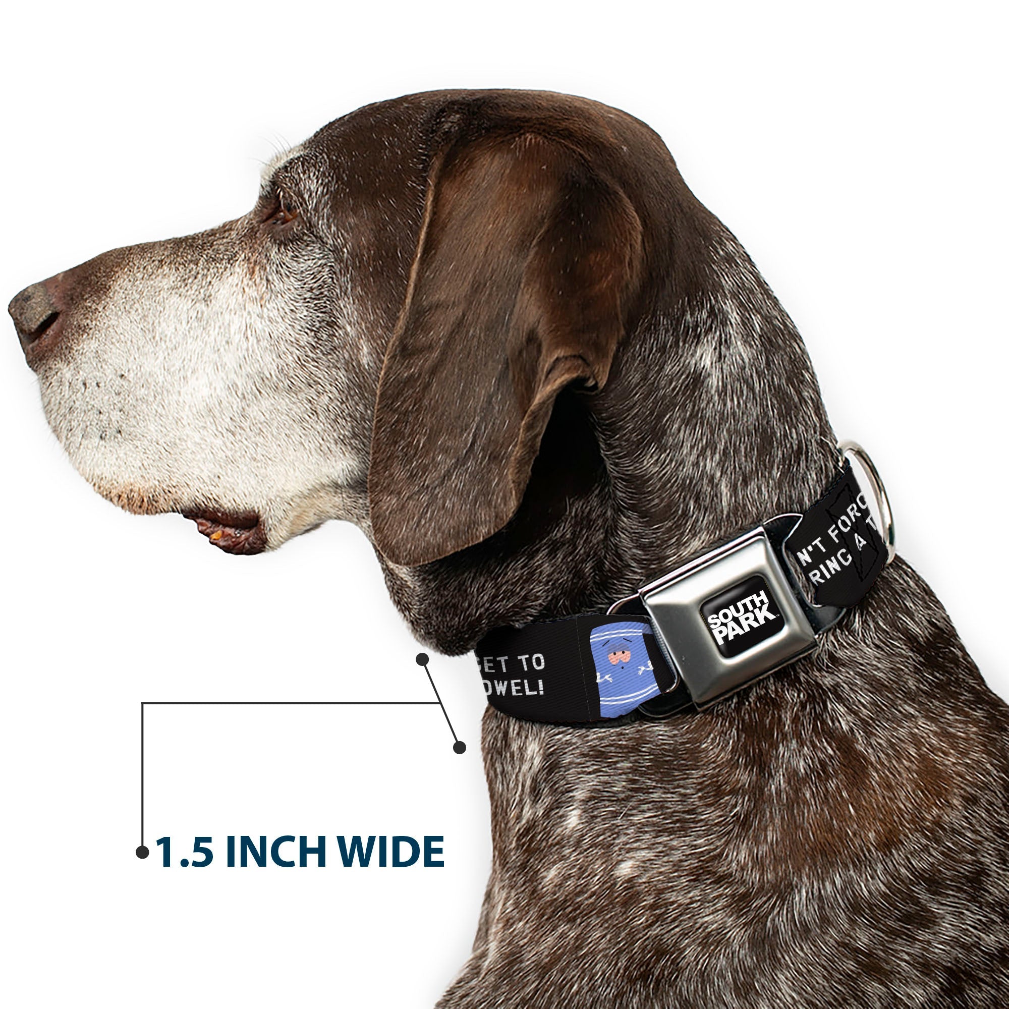SOUTH PARK Title Logo Full Color Black/White Seatbelt Buckle Collar - South Park Towlie DON’T FORGET TO BRING A TOWEL Pose Black