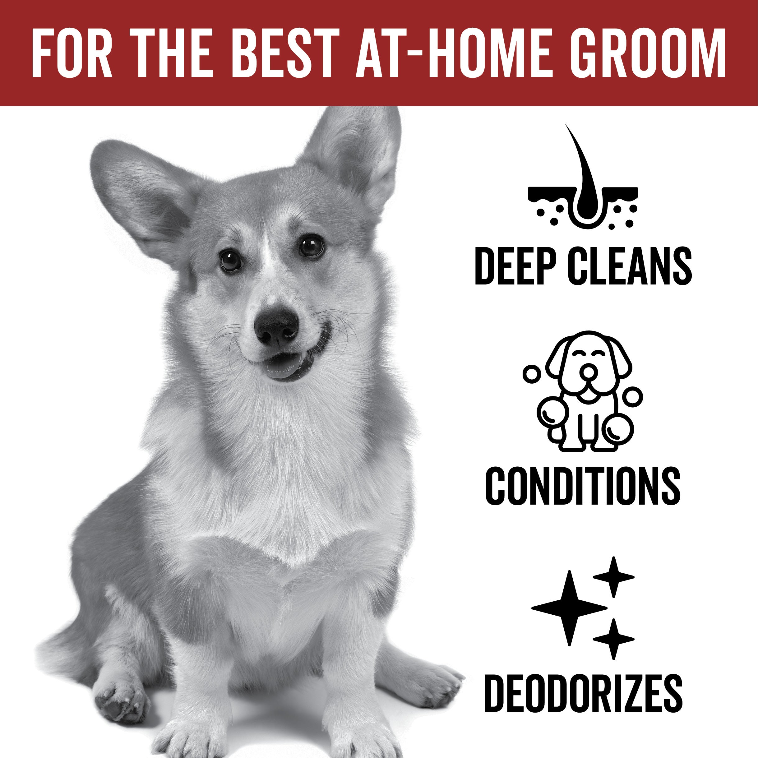 DOGDAYS Moisturizing Dog Conditioner