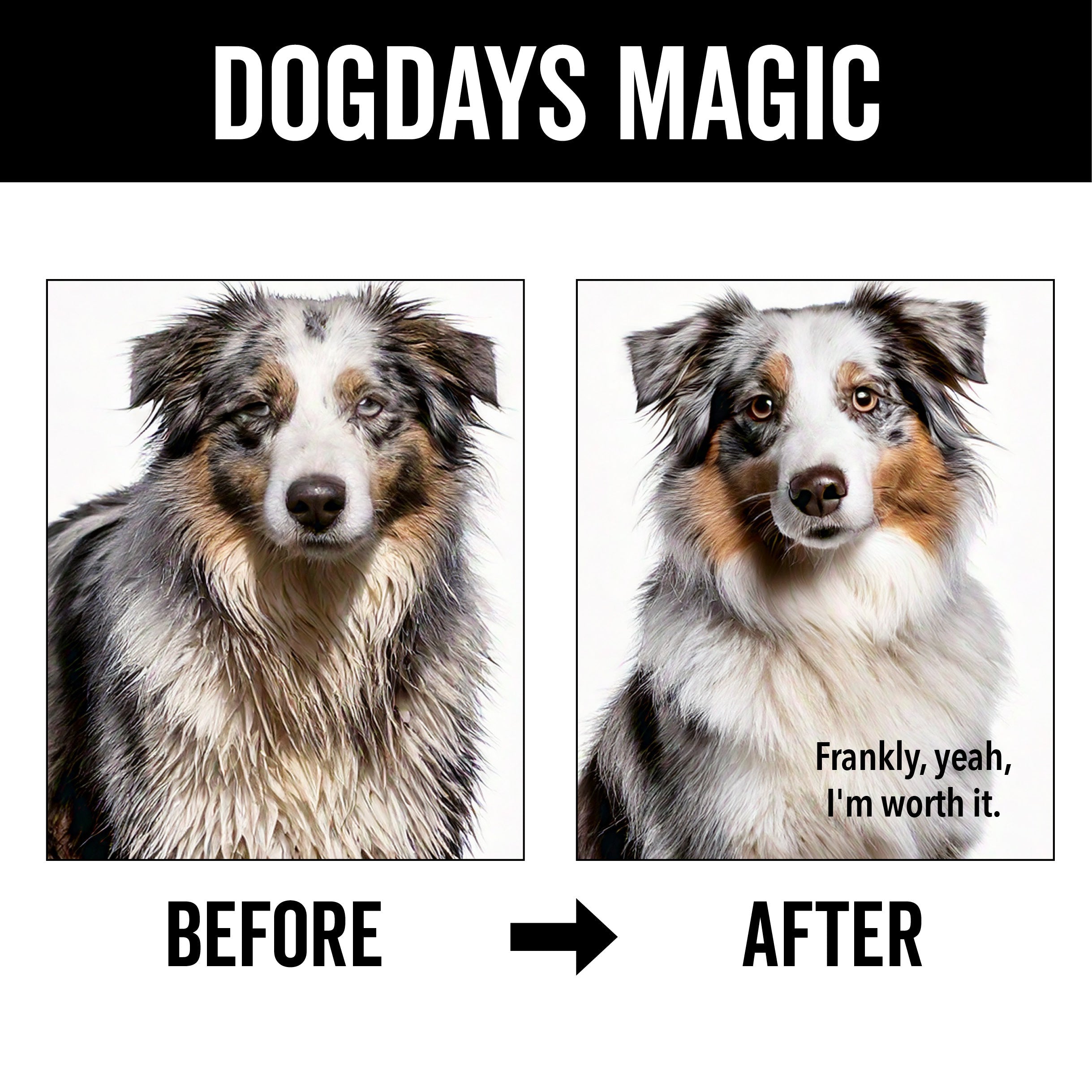 DOGDAYS De-Shedding Dog Shampoo
