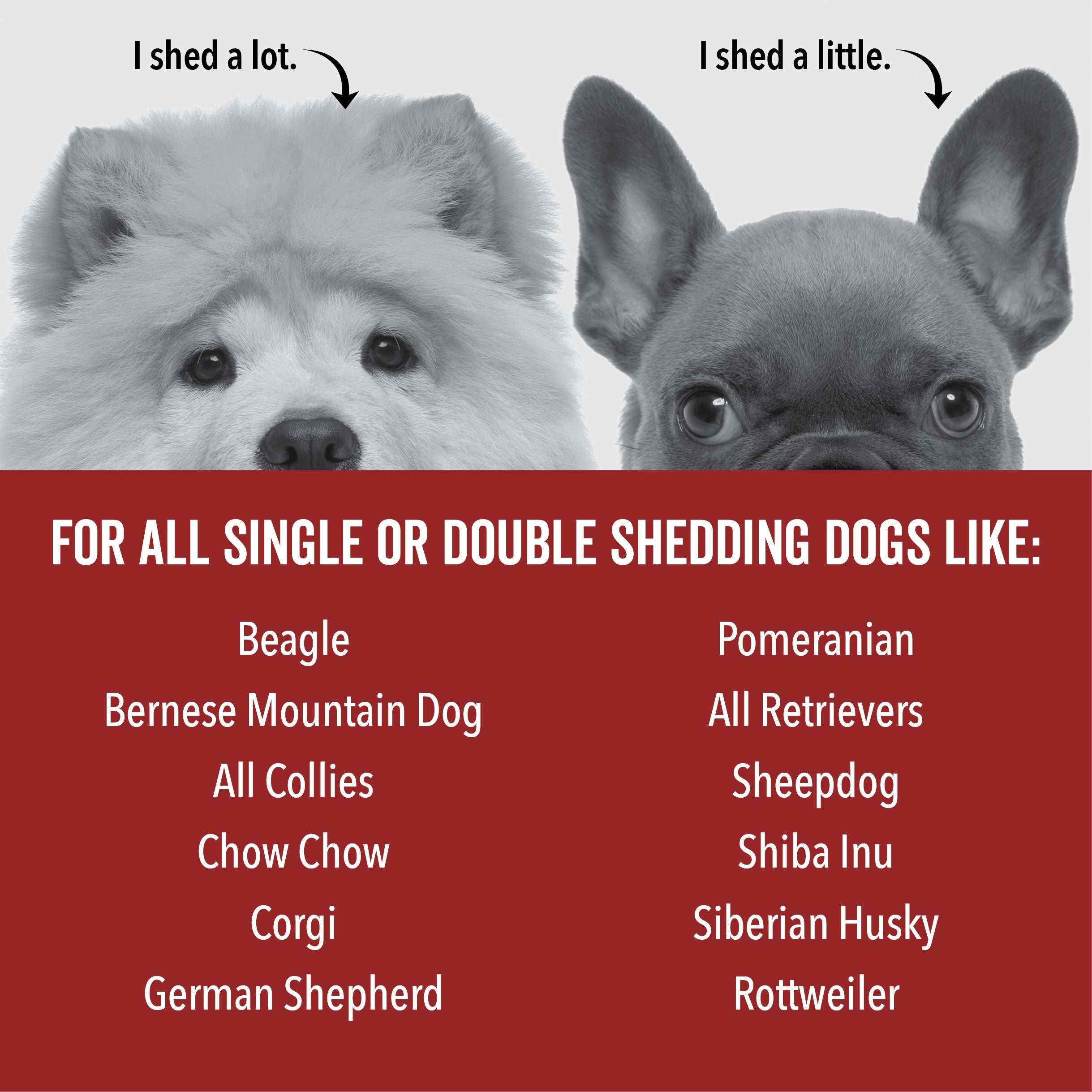 DOGDAYS De-Shedding Dog Shampoo