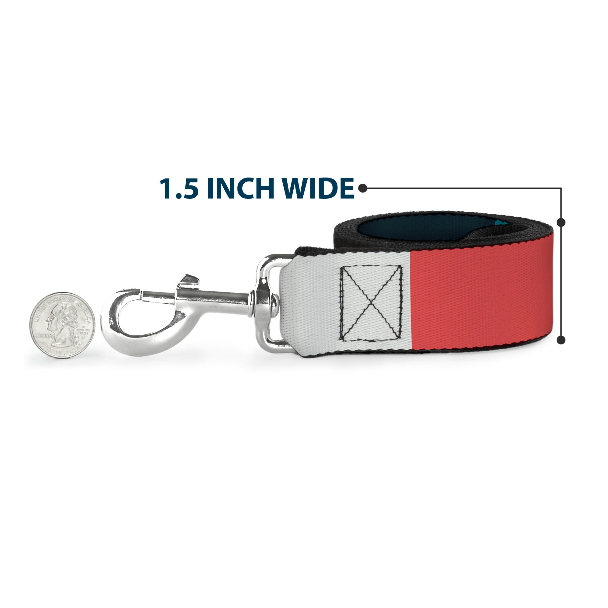 Dog Leash - Summer Essentials Color Block 4