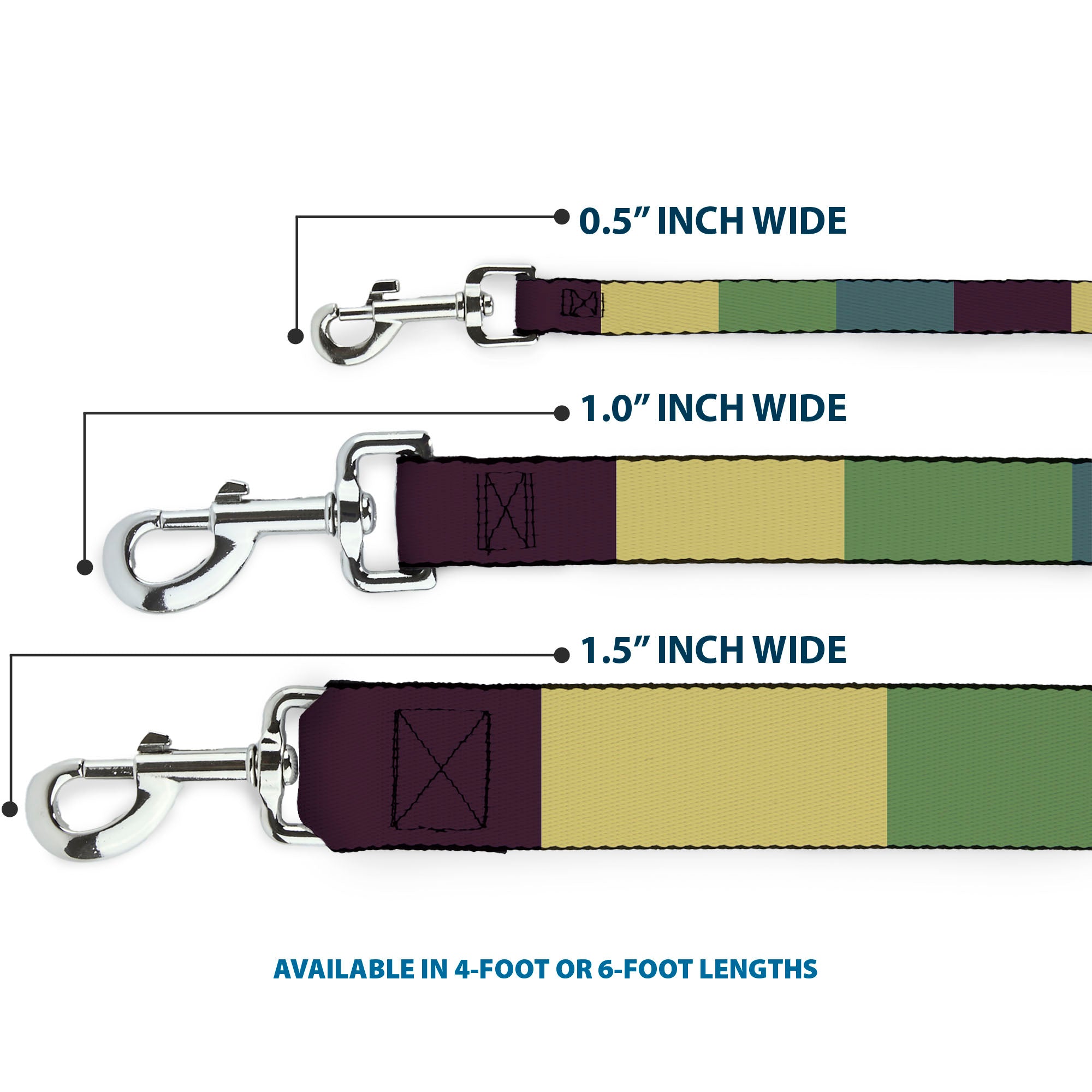 Dog Leash - Summer Essentials Color Block 5