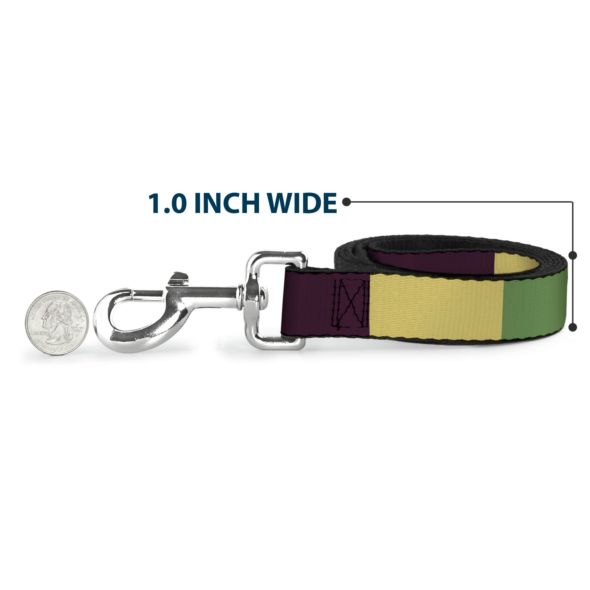 Dog Leash - Summer Essentials Color Block 5