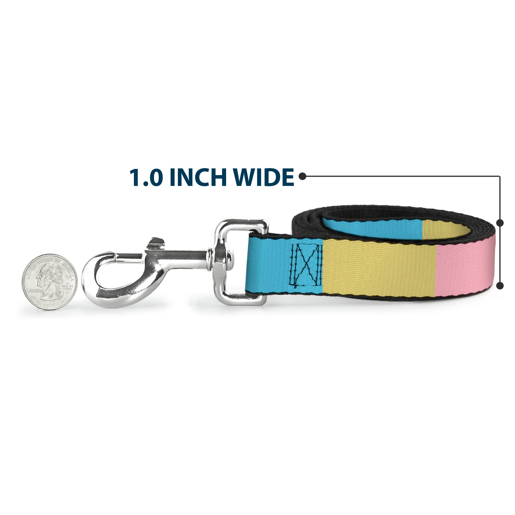 Dog Leash - Summer Essentials Color Block 6