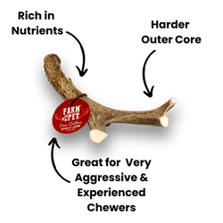 Farm To Pet Deer Antlers for Dogs