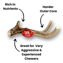 Farm To Pet Deer Antlers for Dogs