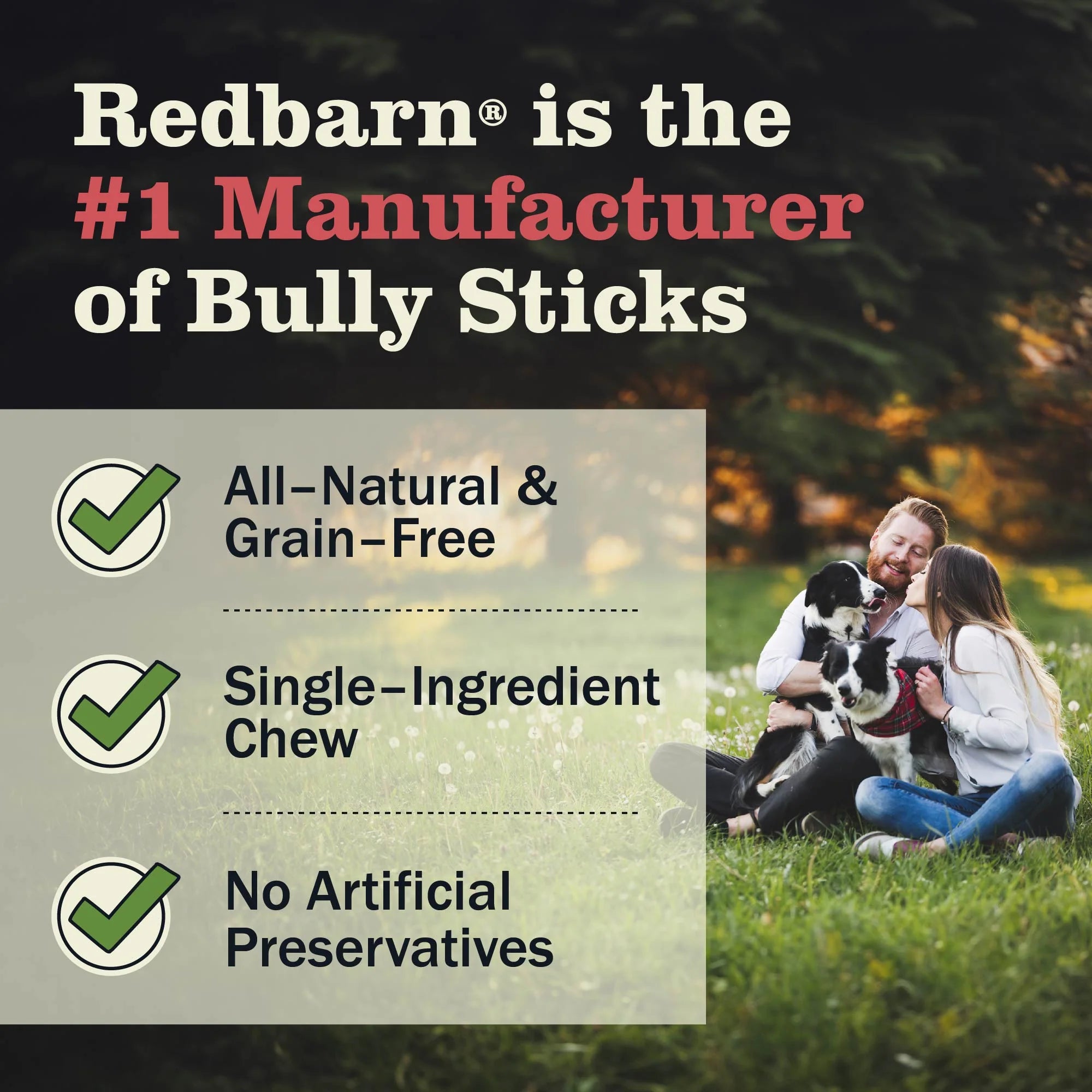 Redbarn Dog Bully Springs (0.68oz)