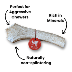 Farm To Pet Whole Elk Antlers for Dogs