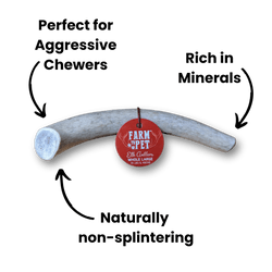 Farm To Pet Whole Elk Antlers for Dogs