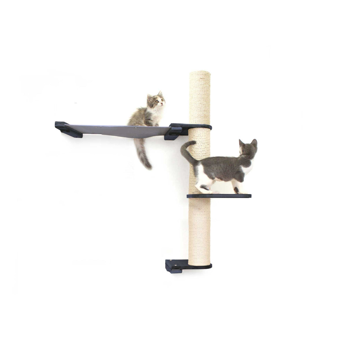 The Crow's Nest - A Wall Cat Scratcher with Hammock
