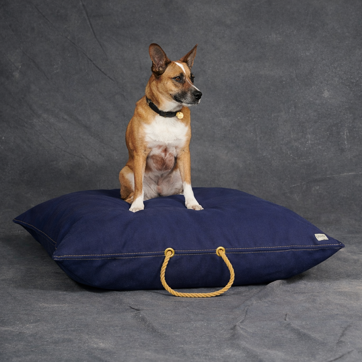 Navy Waxed Cotton Canvas Dog Bed