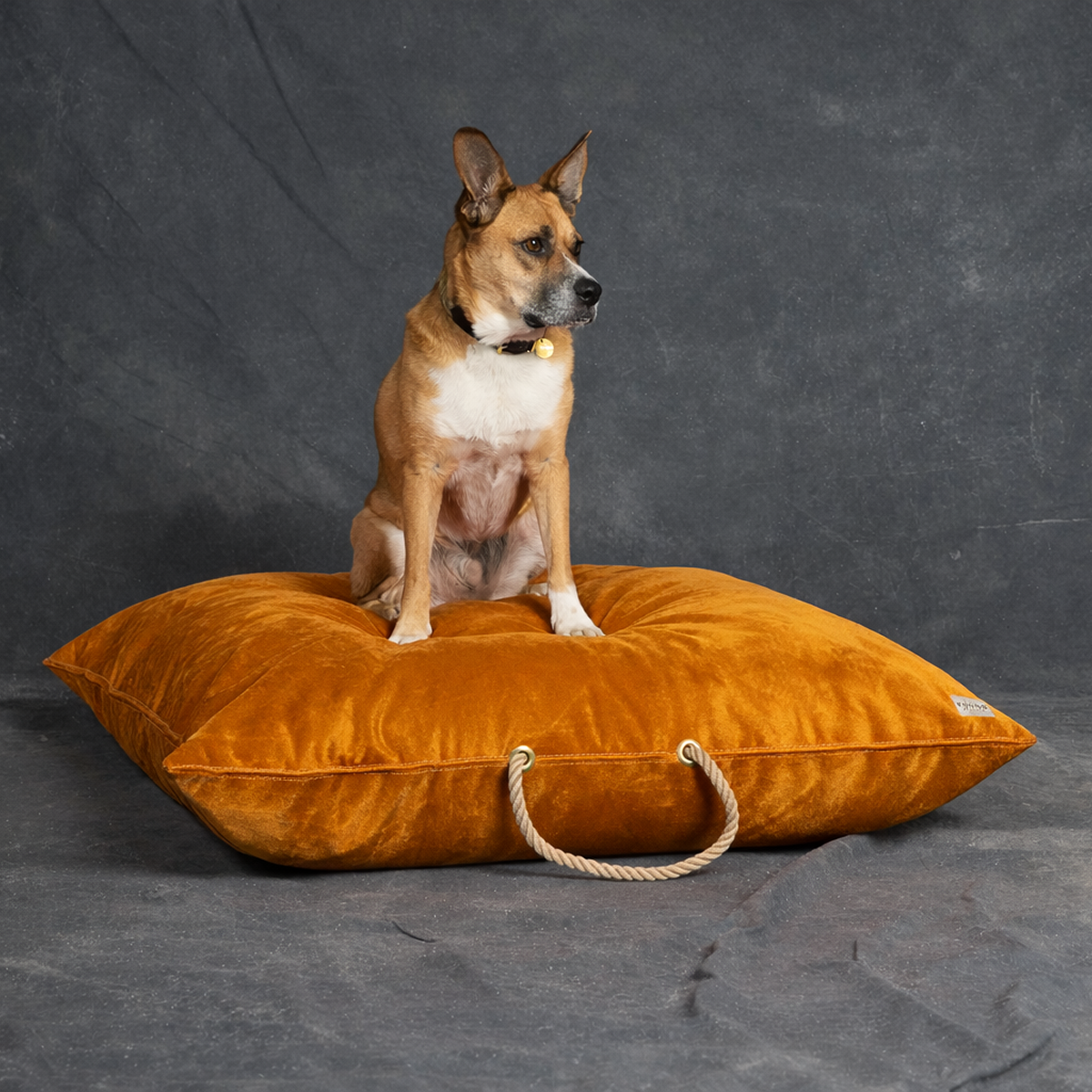 Ochre Washable Velvet Dog Bed