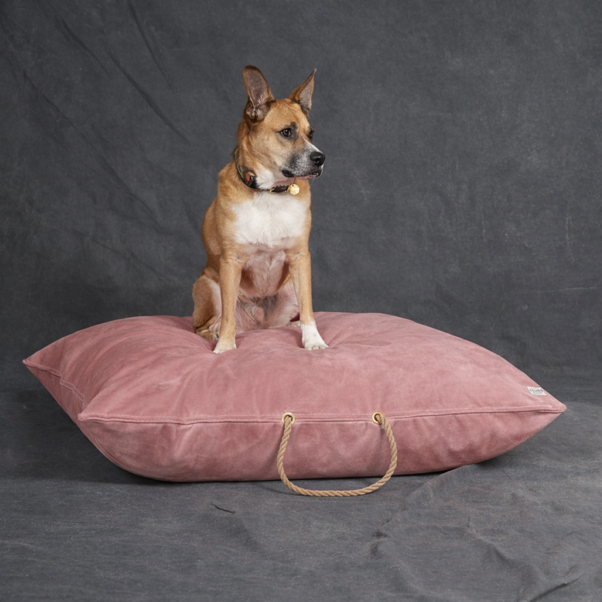 Rose Washable Velvet Dog Bed
