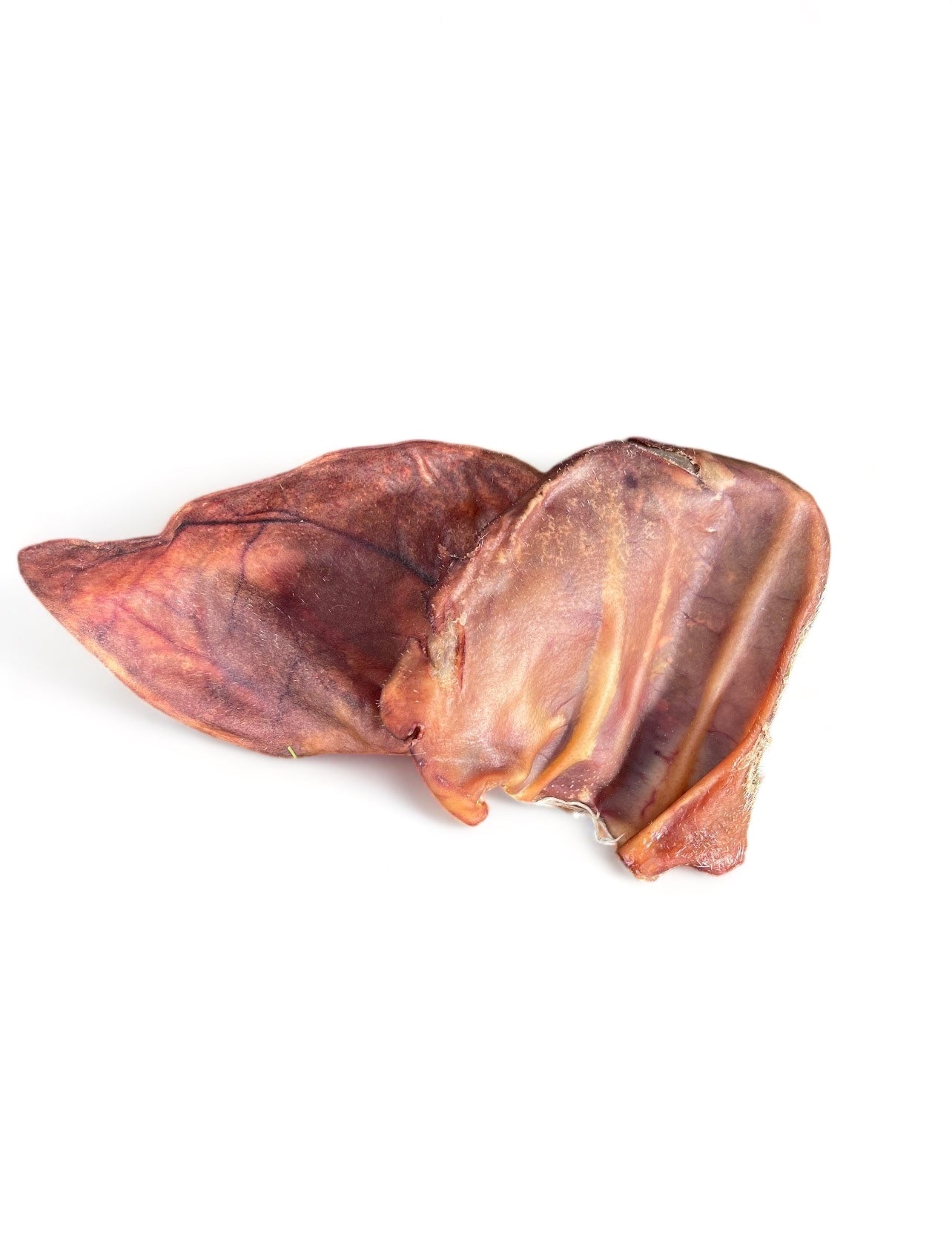 The Family Pet