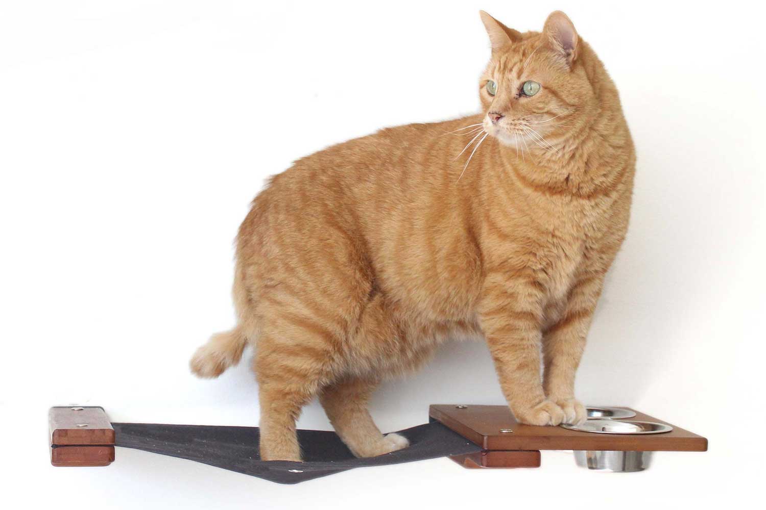 Dog Proof Cat Feeder - Wall-Mounted - Raised