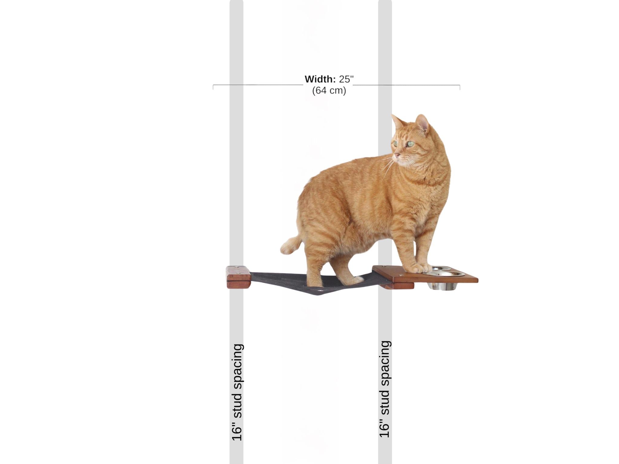 Dog Proof Cat Feeder - Wall-Mounted - Raised