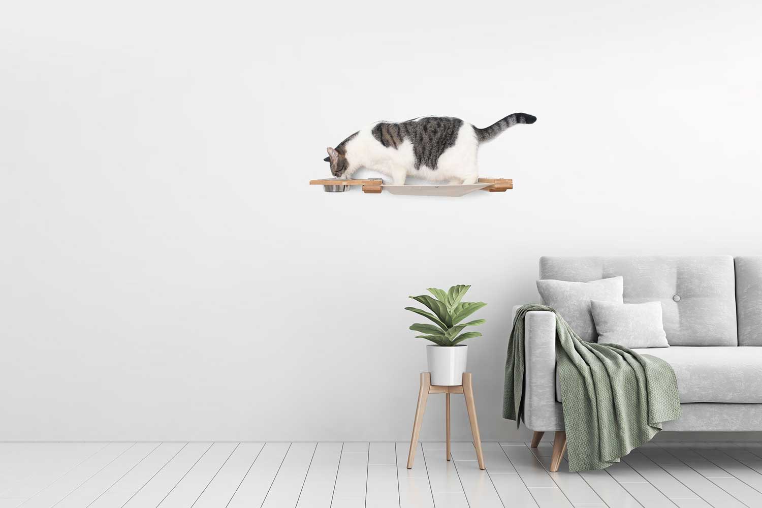 Dog Proof Cat Feeder - Wall-Mounted - Raised