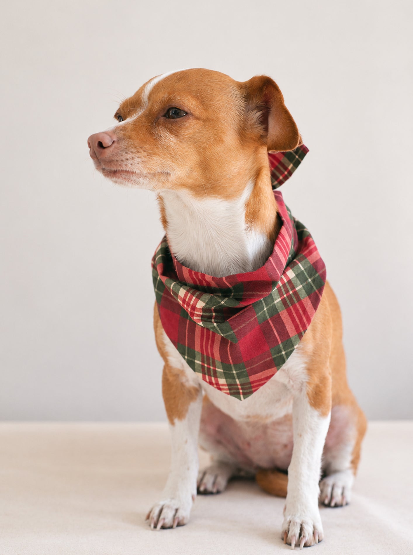 PLAID & WINTER BANDANAS