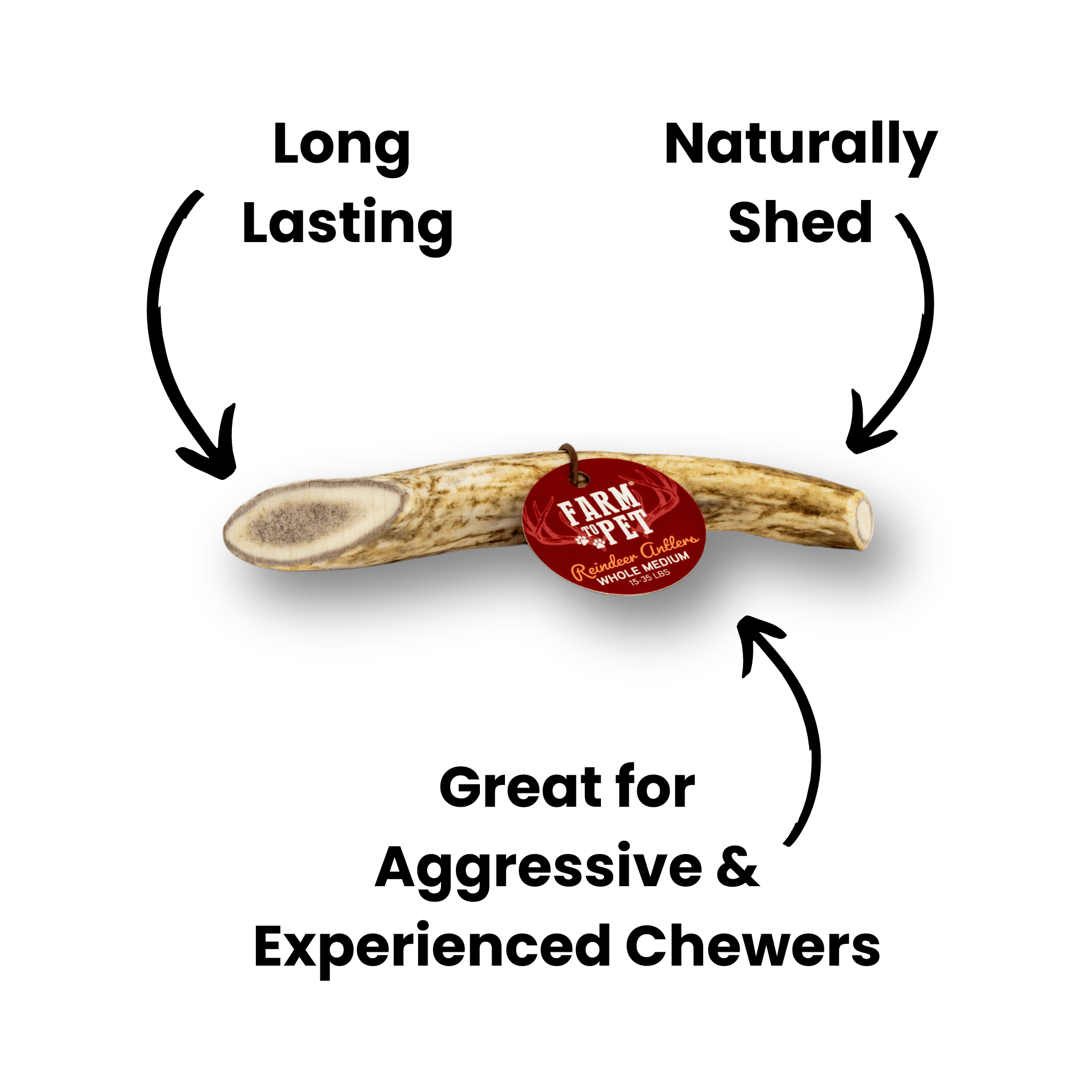 Whole Reindeer Antlers for Dogs | Antler Dog Chews for Aggressive Chewers