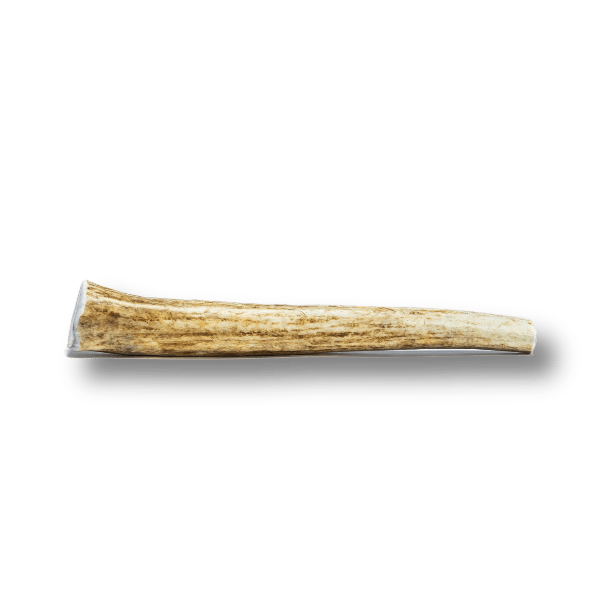 Whole Elk Antlers for Dogs | All-Natural Antler Dog Chews