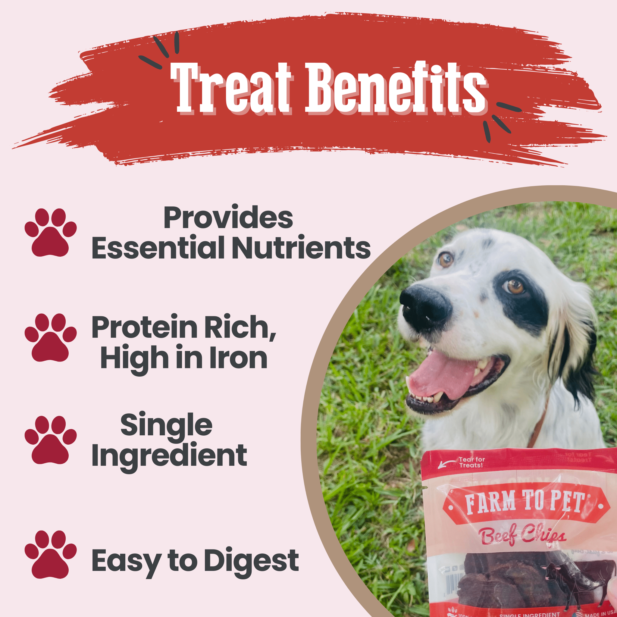 Beef Chips Snack Pack Bundles | Dog Treats for Training & Travel