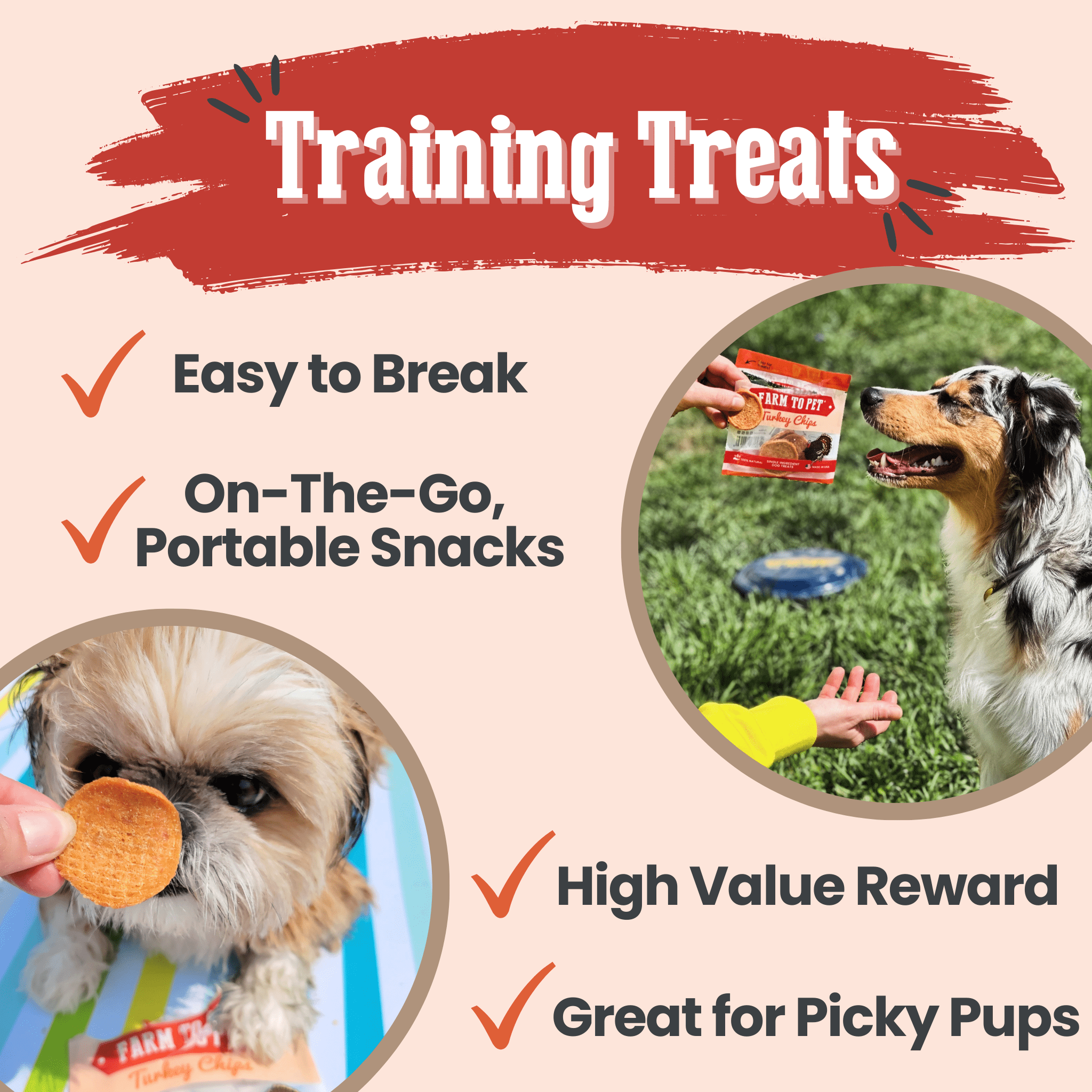 Turkey Chips Snack Pack Bundles | Low Allergen Treats for Training